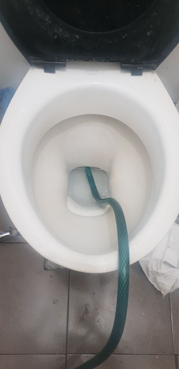 How to unclog blocked toilet and bathroo... Bunnings community