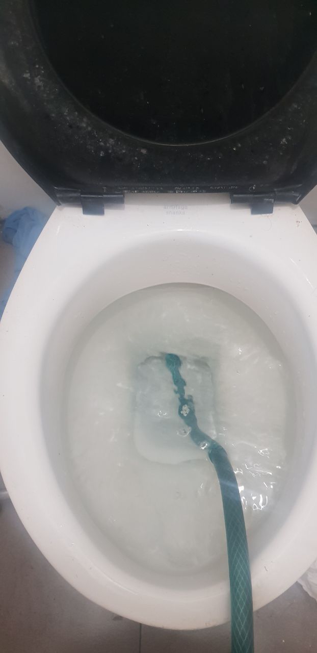 How to unclog blocked toilet and bathroo... Bunnings community