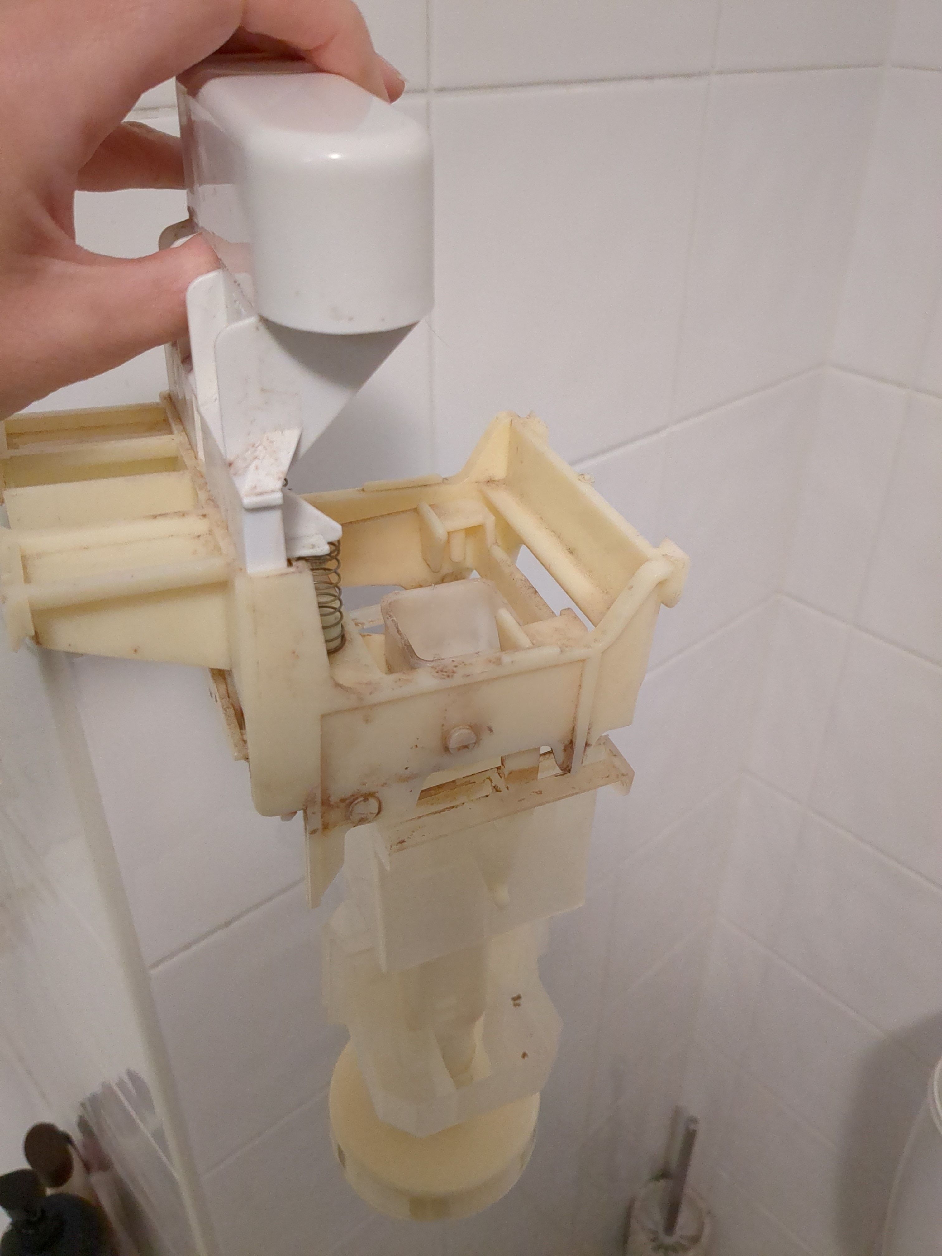 How to choose a seat washer? Bunnings community