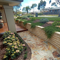 Front landscaping with low-level deck and paving