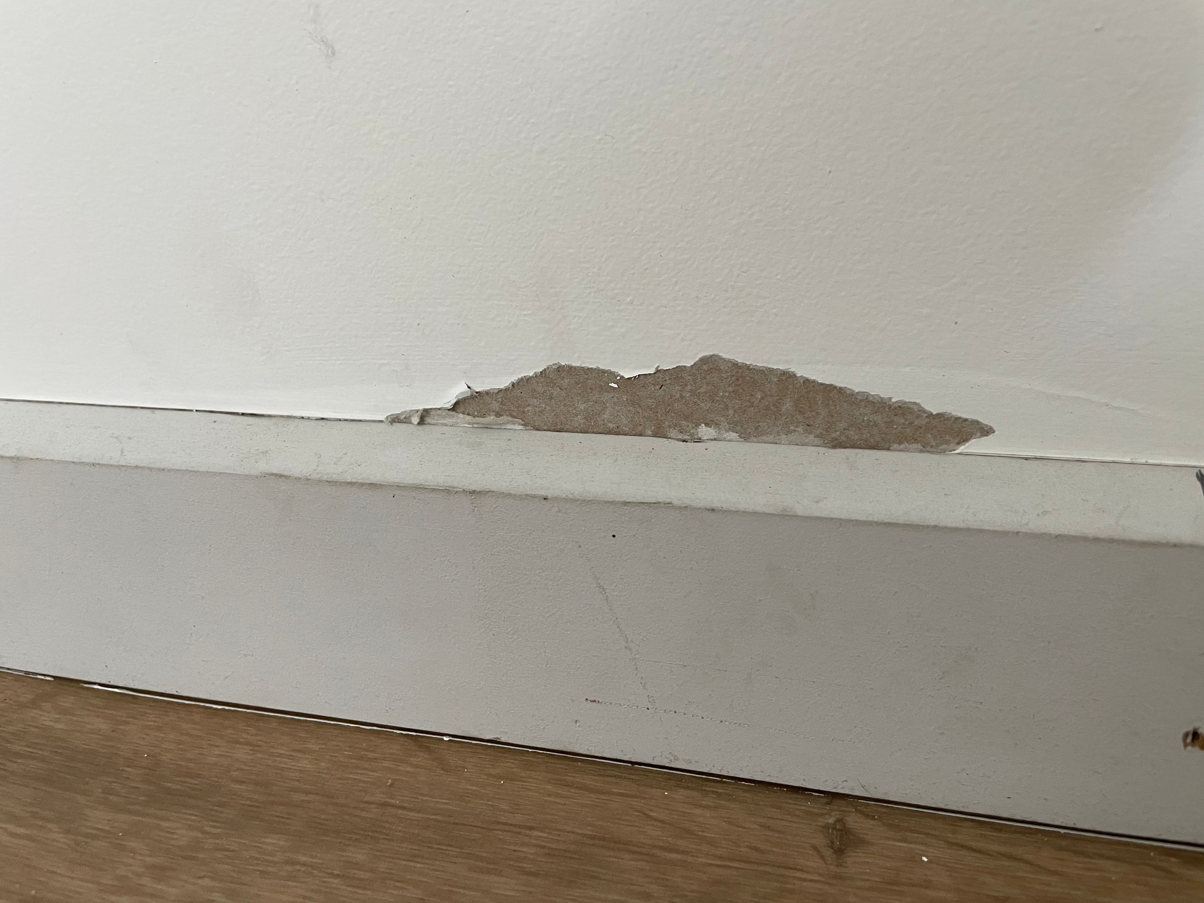 How to fix damaged plasterboard? | Bunnings Workshop community
