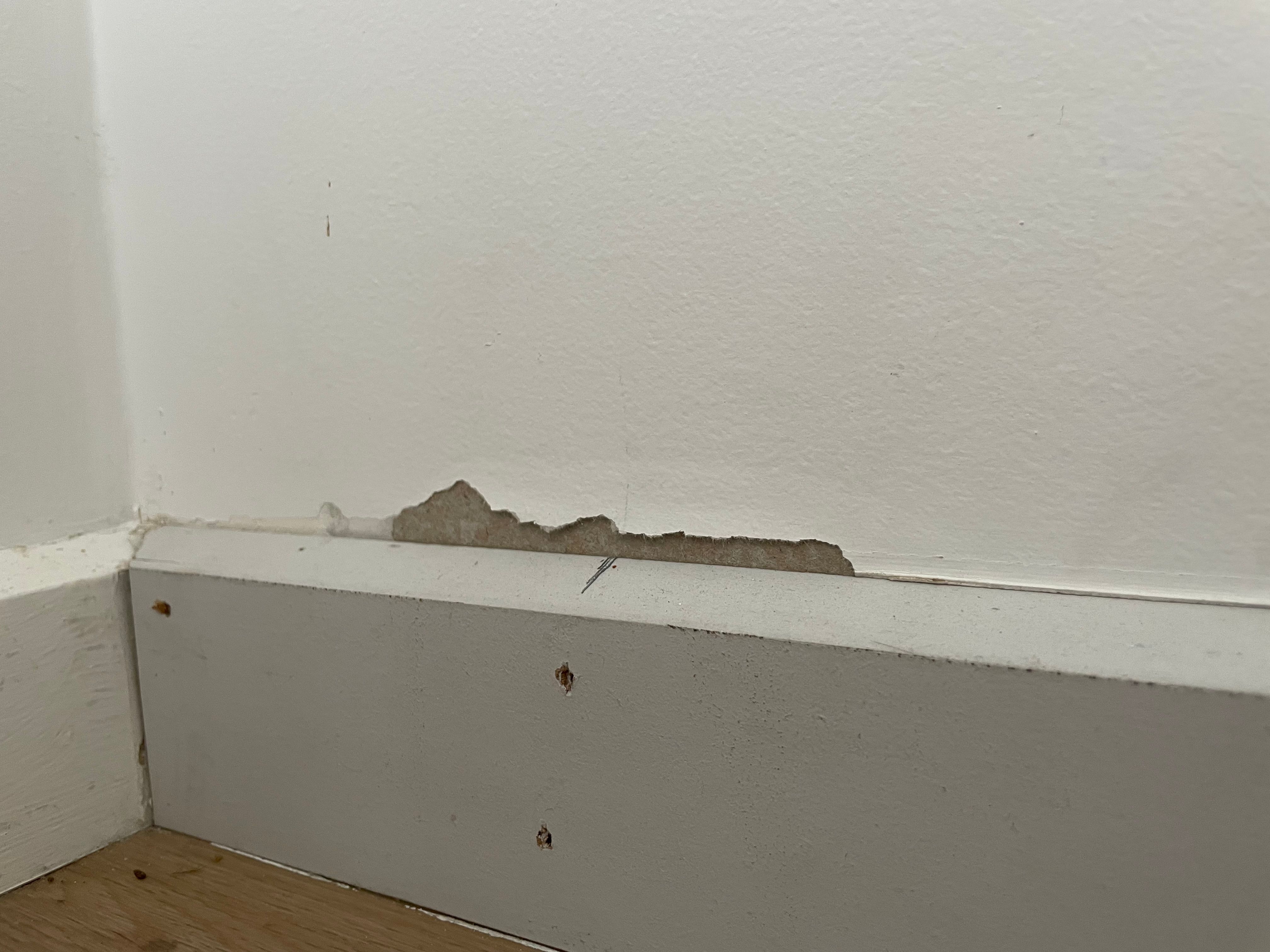 How to fix damaged plasterboard? | Bunnings Workshop community