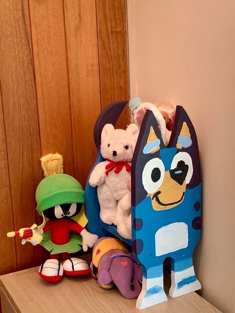 Toy Shelf