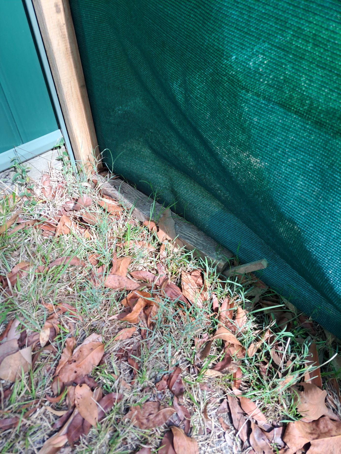 How to build a temporary snake and toad Bunnings community