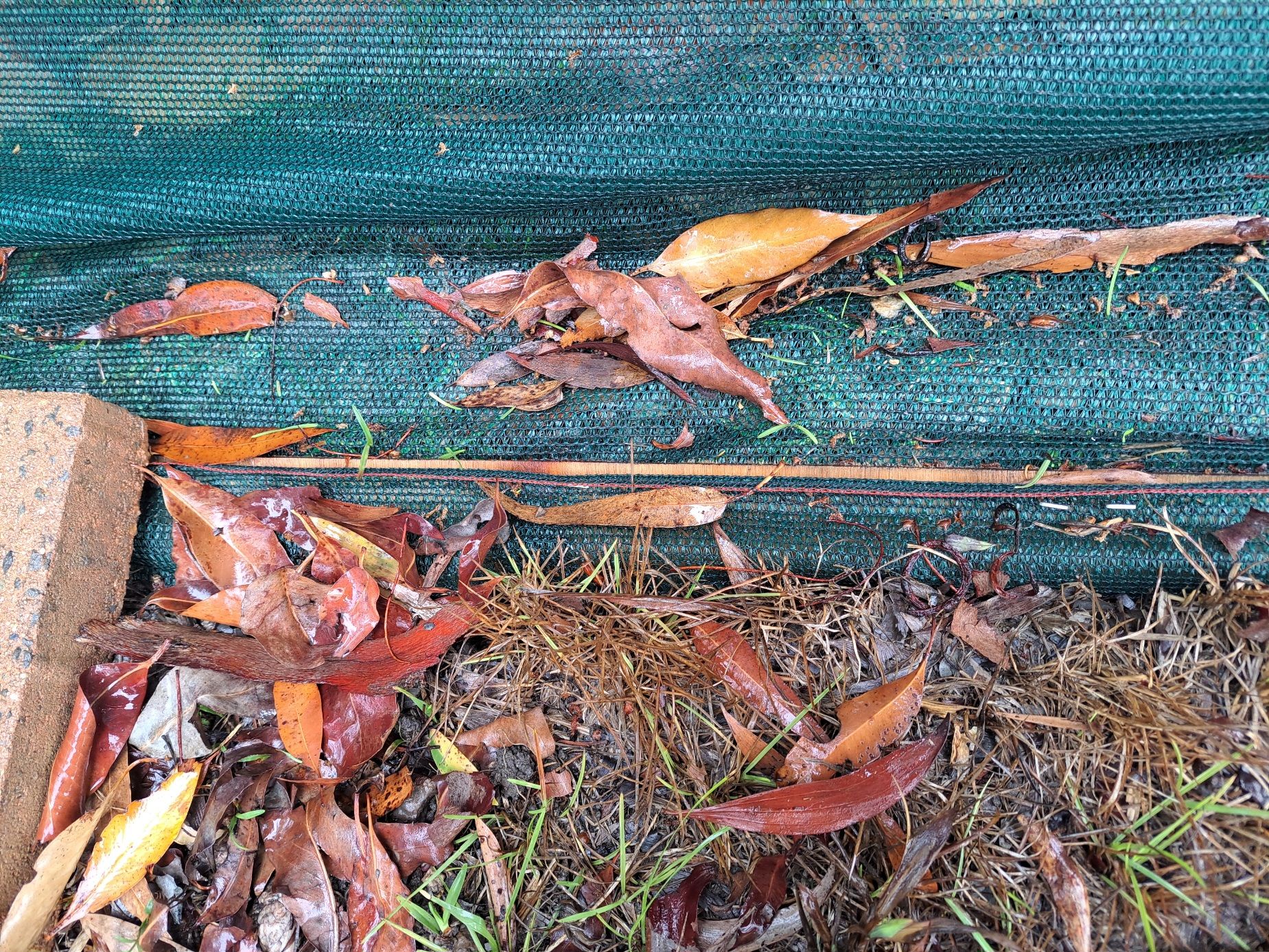 How to build a temporary snake and toad Bunnings community