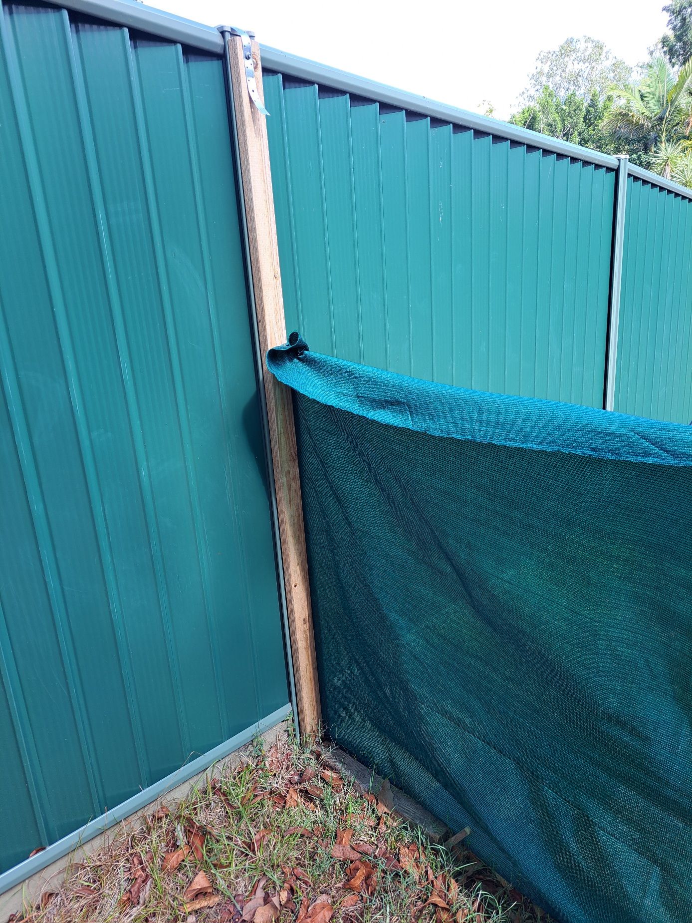 How to build a temporary snake and toad Bunnings community