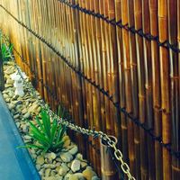 Bamboo fence panel for extra privacy