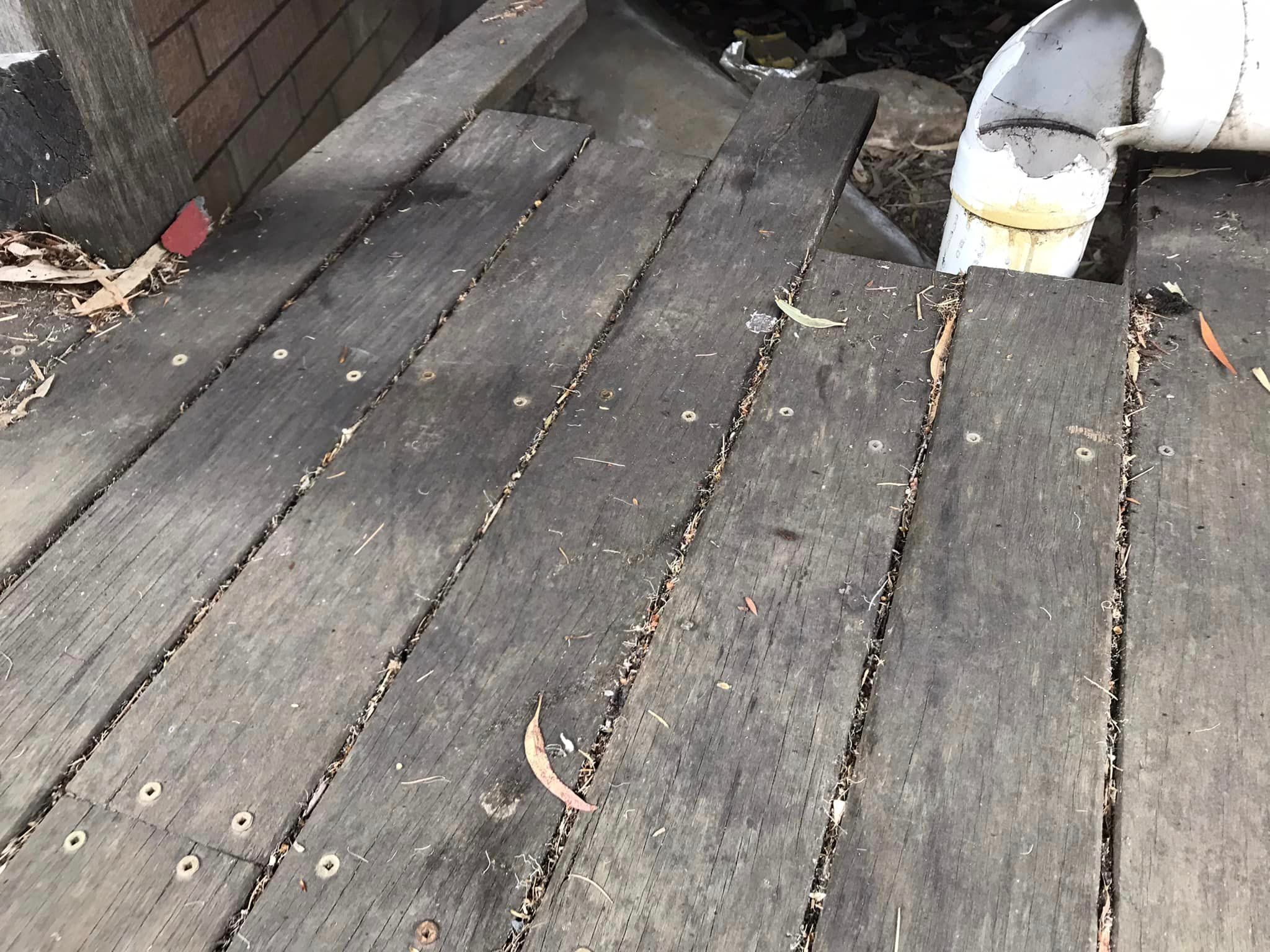 Why are there black spots on my deck aft... Bunnings community