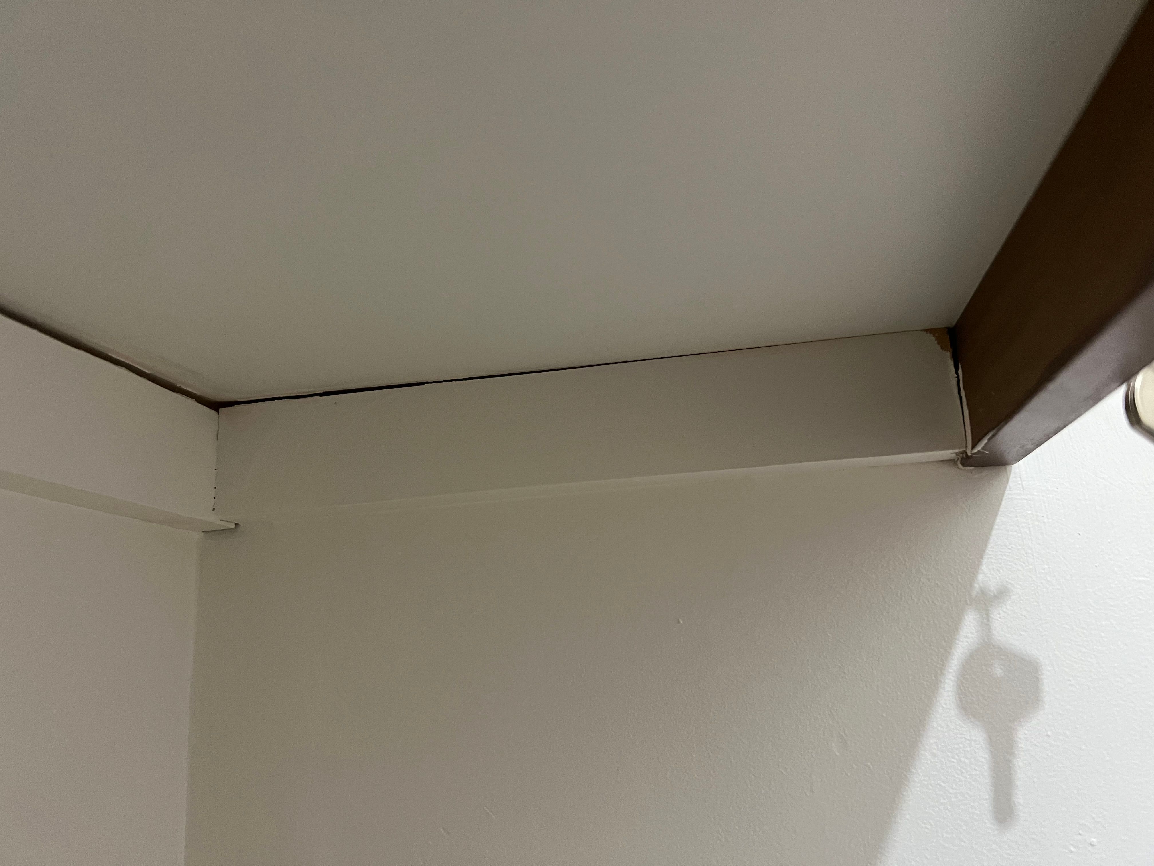 How to reinforce pantry shelves? Bunnings community