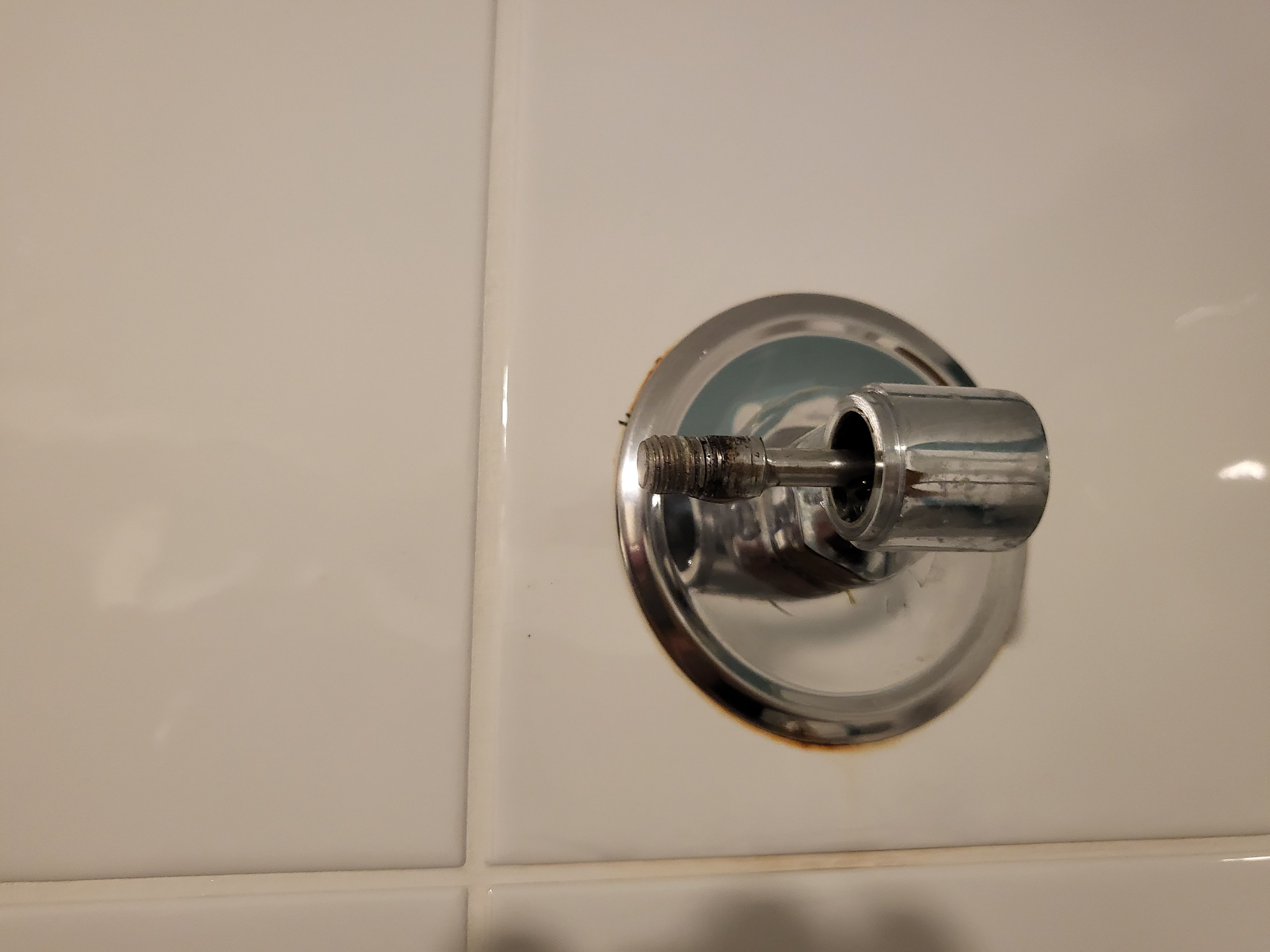 Which shower head to install? Bunnings community