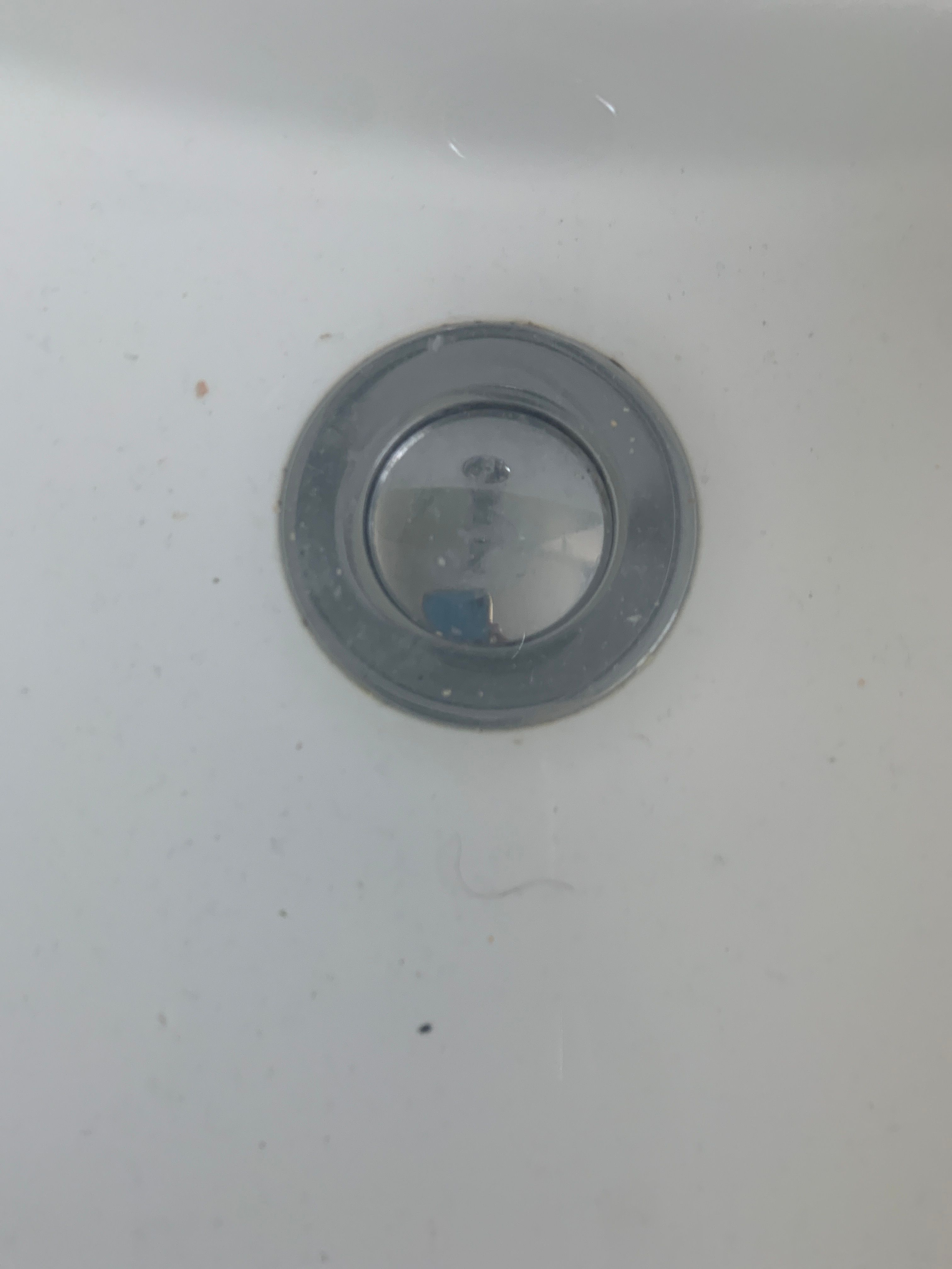 How to unblock my Caroma sink plug? Bunnings community