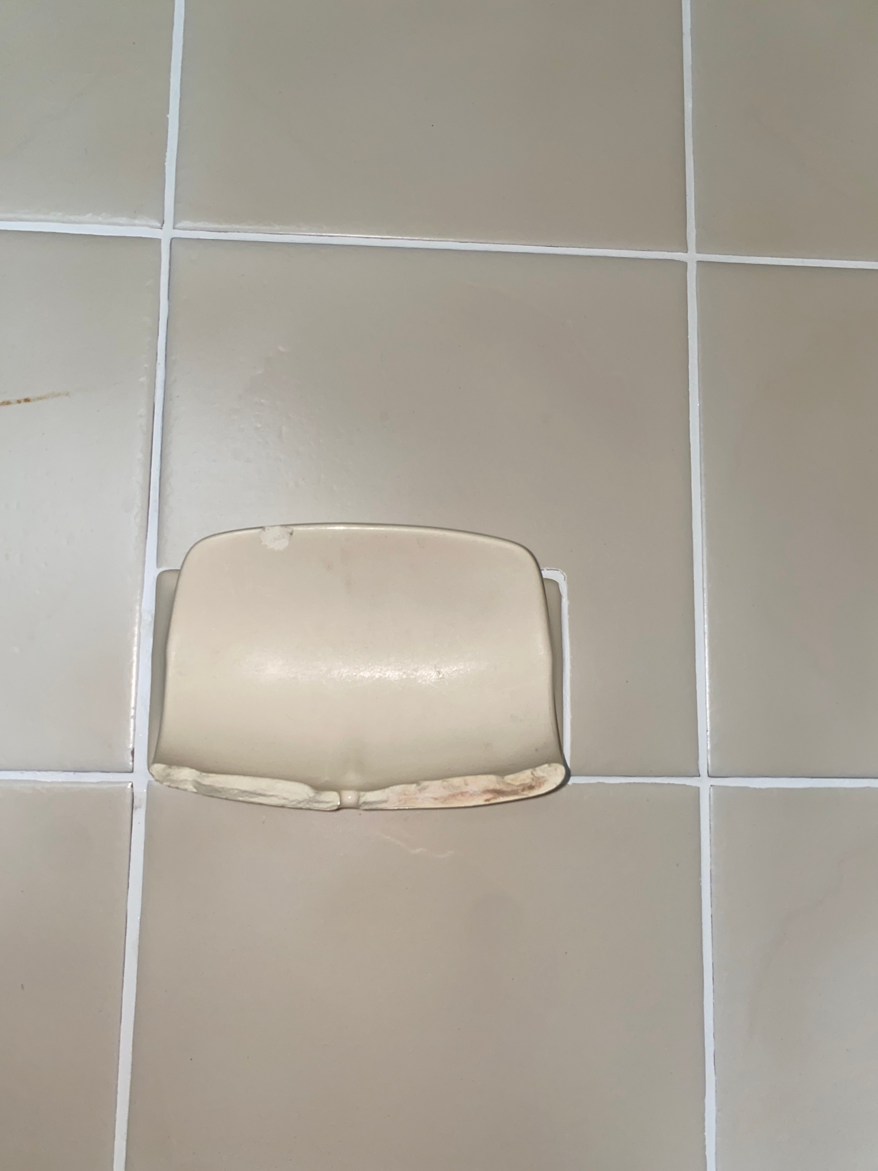 How to repair ceramic dish soap in showe... Bunnings community