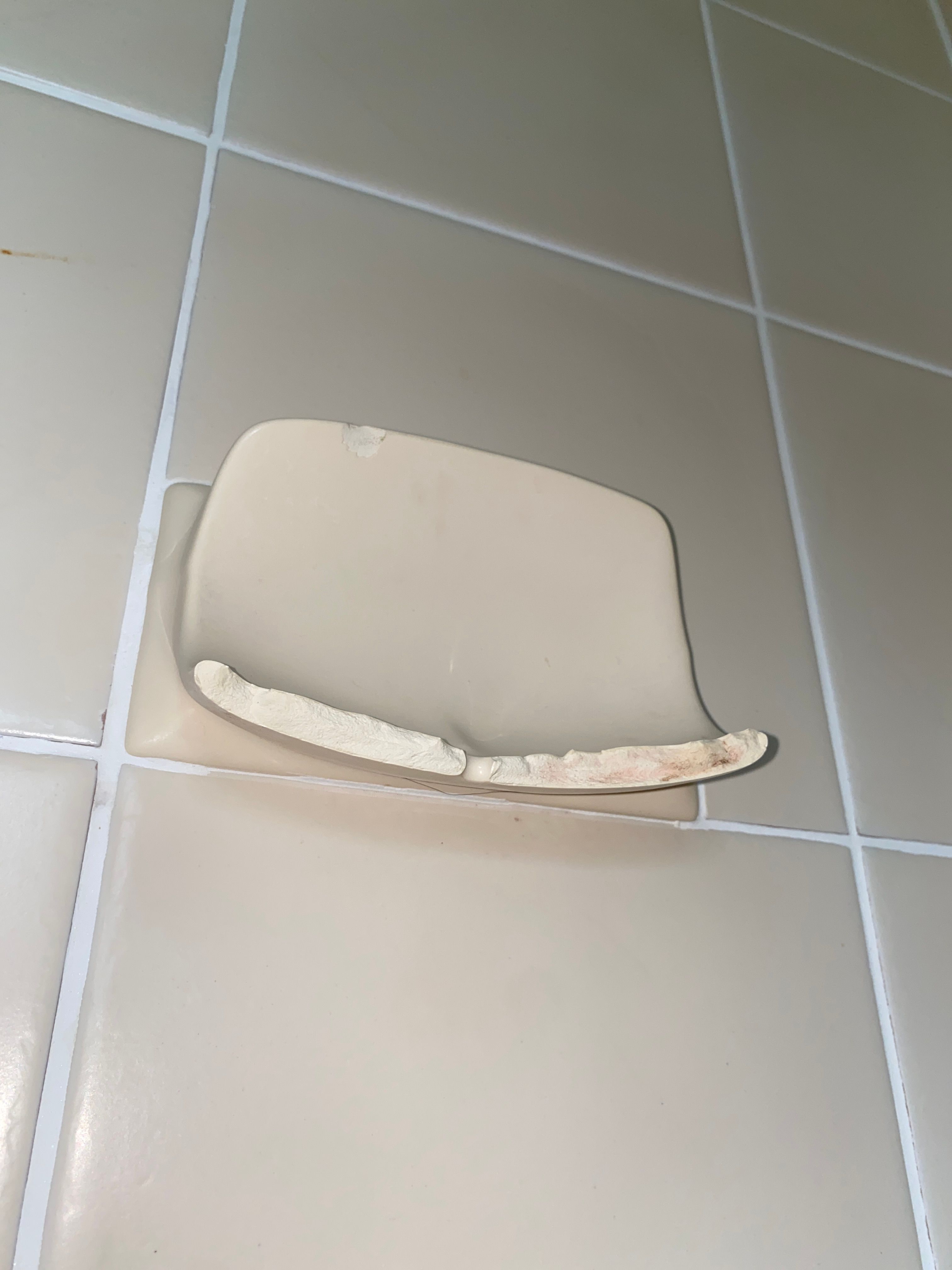 How to repair ceramic dish soap in showe... Bunnings community