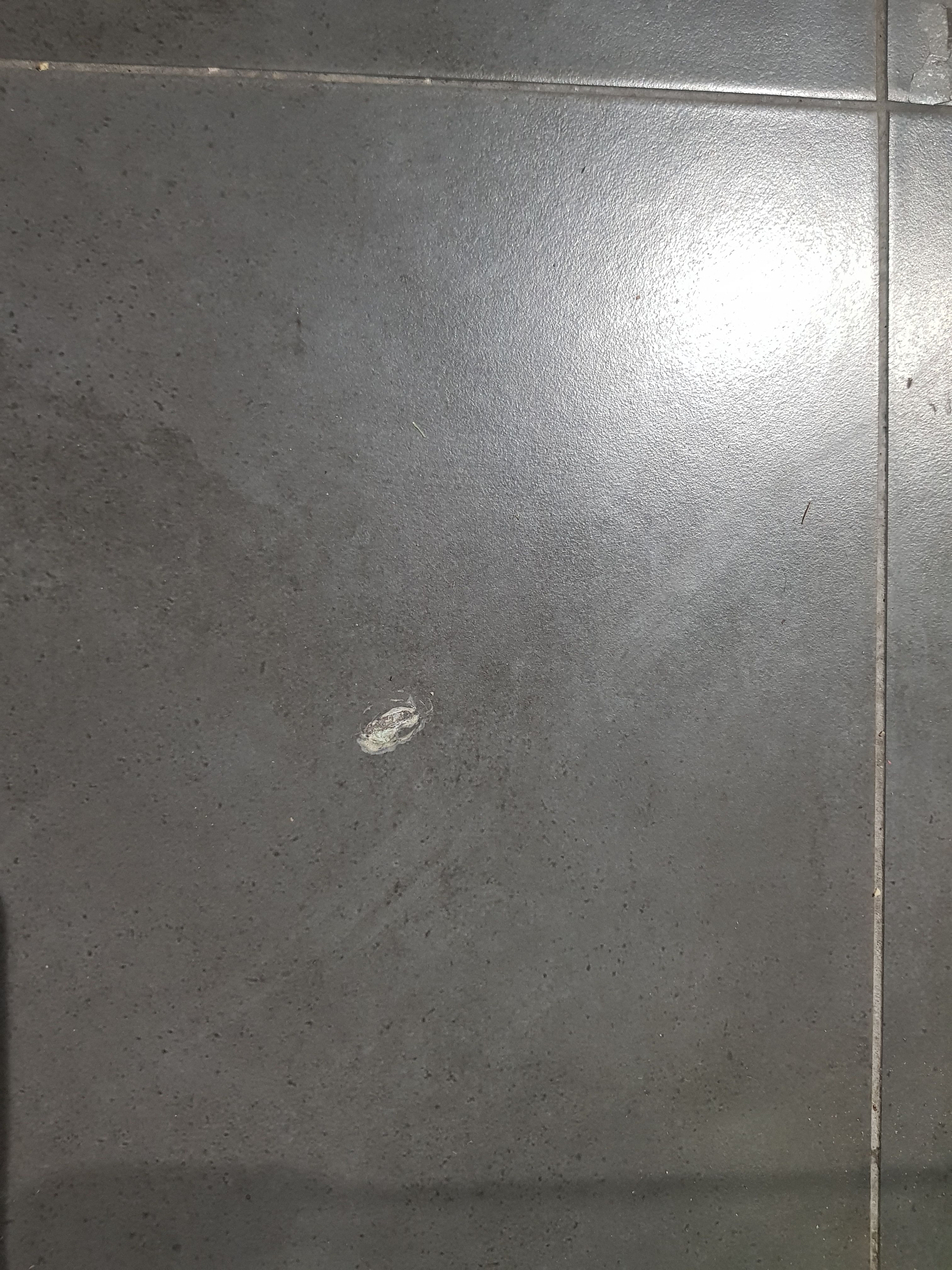 How to repair a dented ceramic tile? Bunnings community
