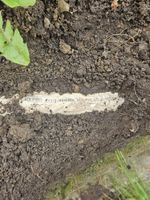 WhatsApp Image 2023-12-10 at 3.12.48 PM.jpeg