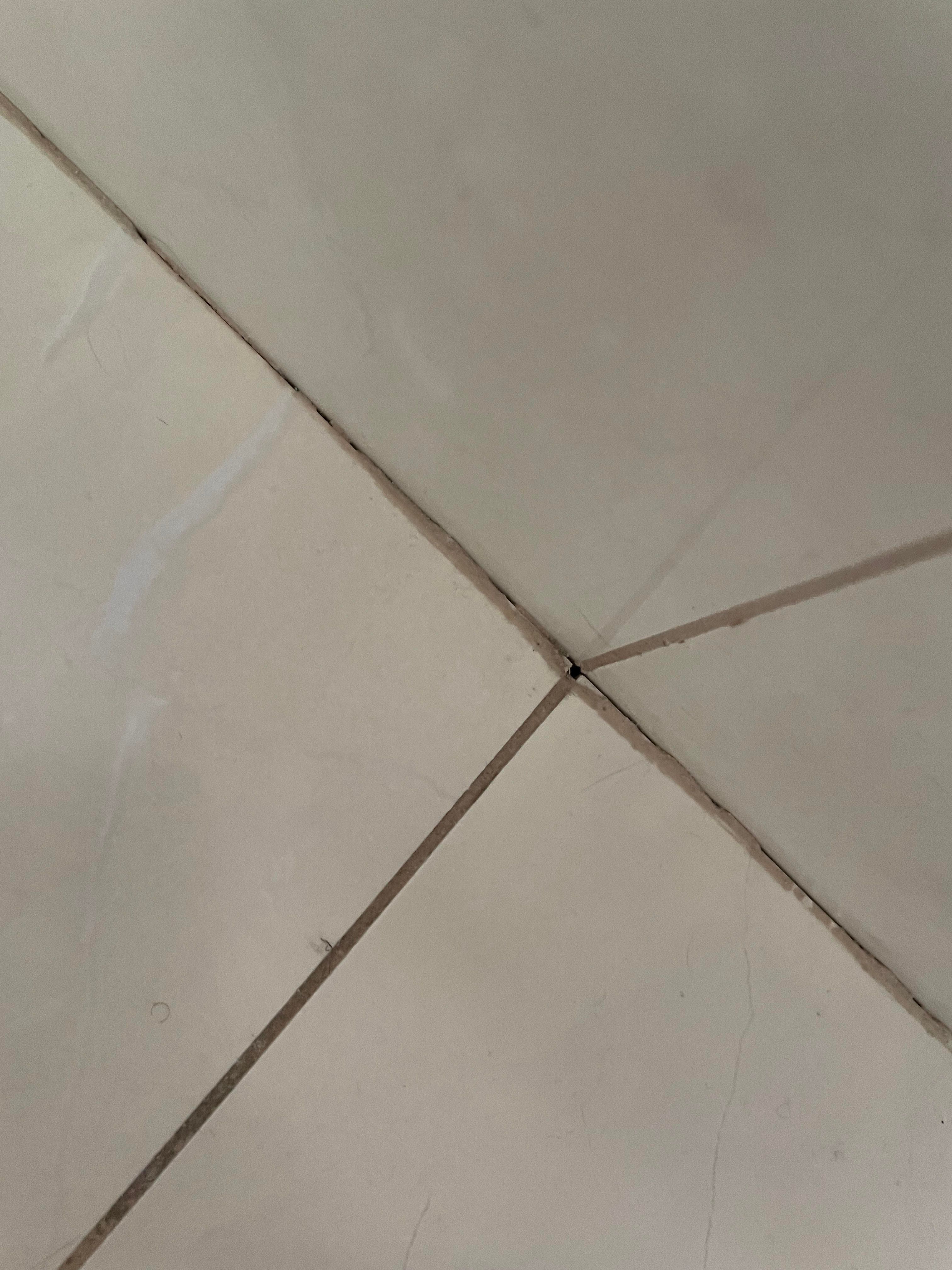 How to fill small gaps between tiles and... Bunnings community