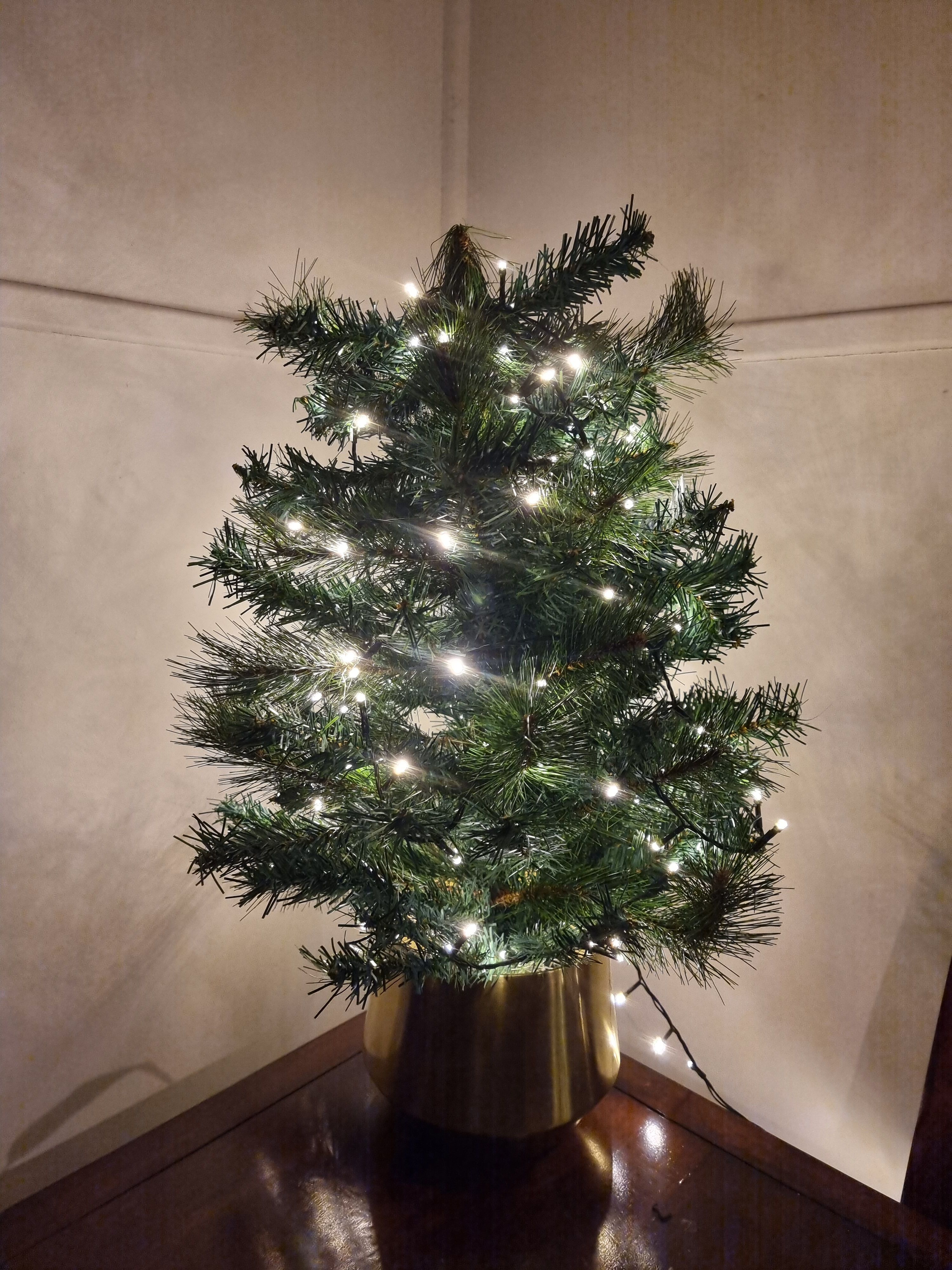 Repurposed Christmas tree Part 2 Mini Bunnings community