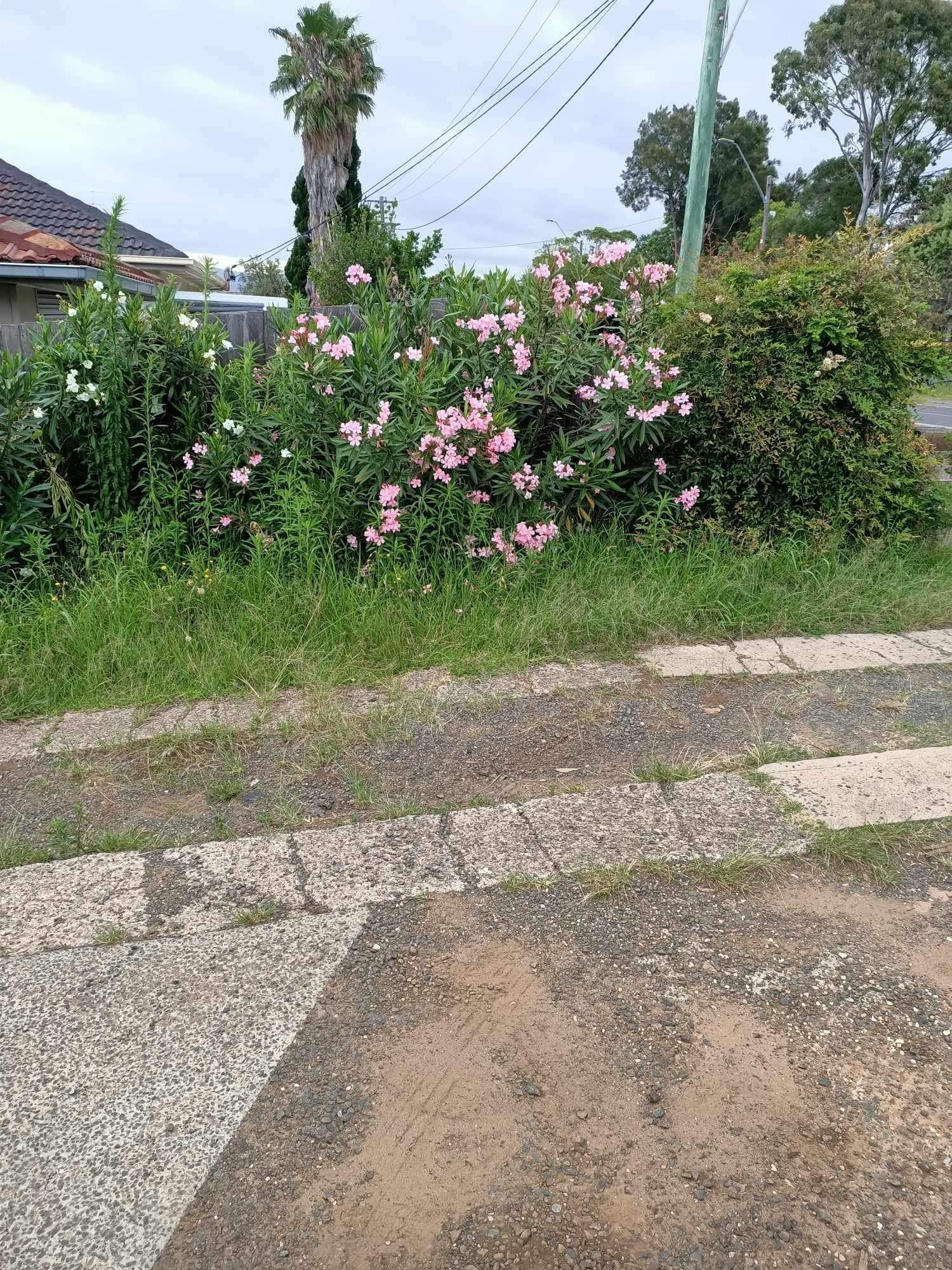 What tools do I need to buy and what ste... Bunnings community