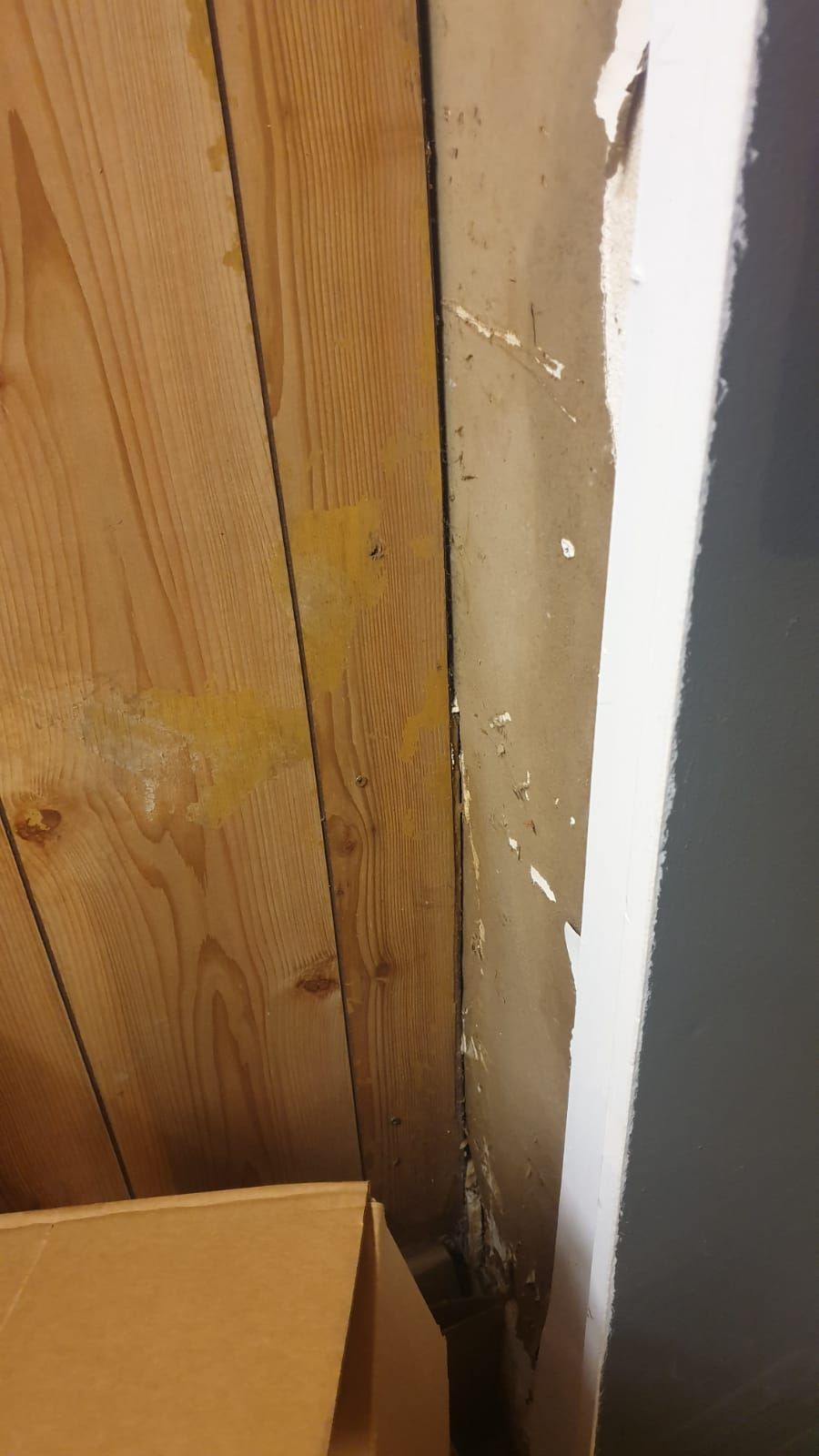 How to cover up ugly shop corner? Bunnings community