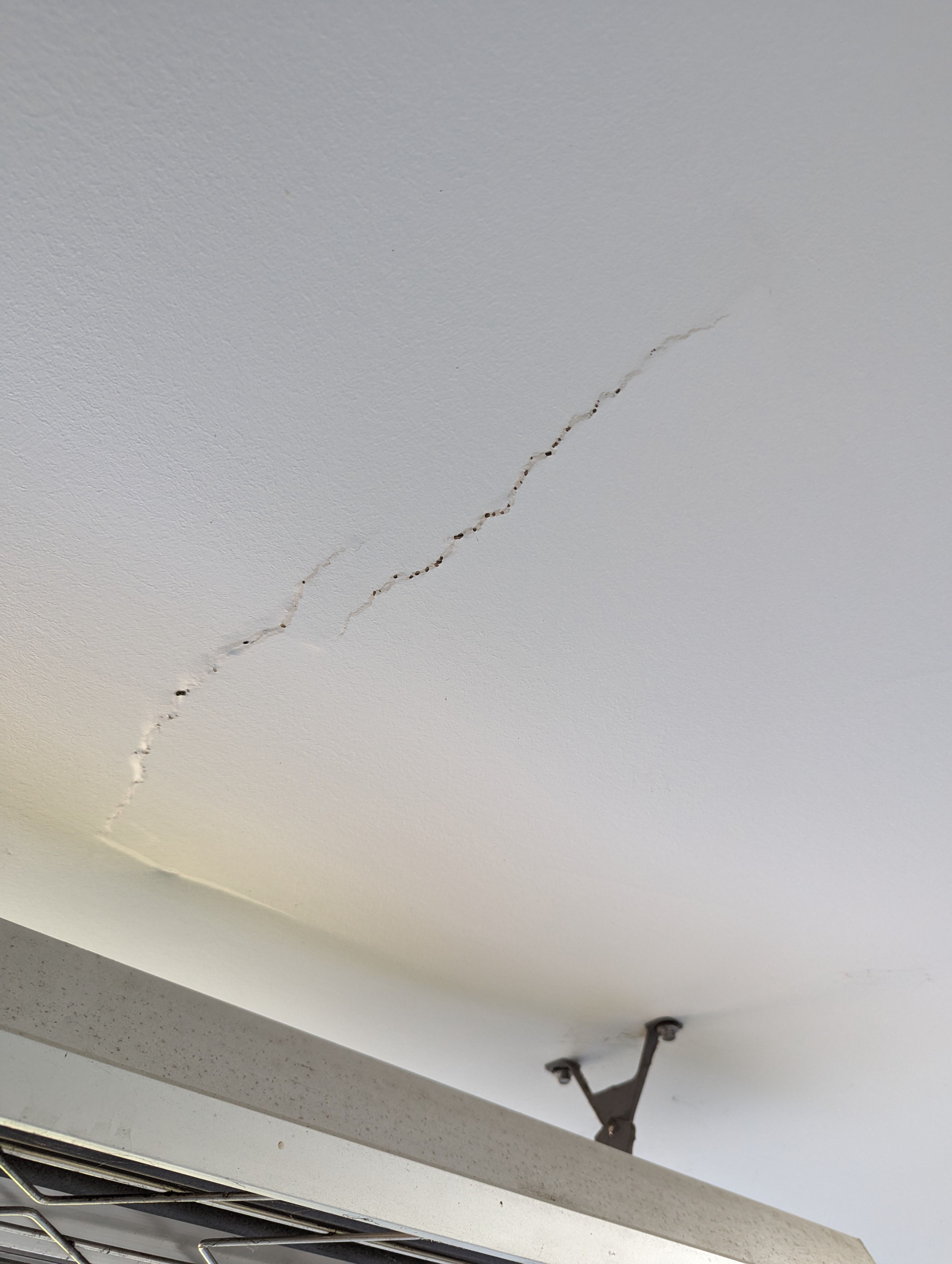 How to repair crack in patio ceiling? Bunnings community