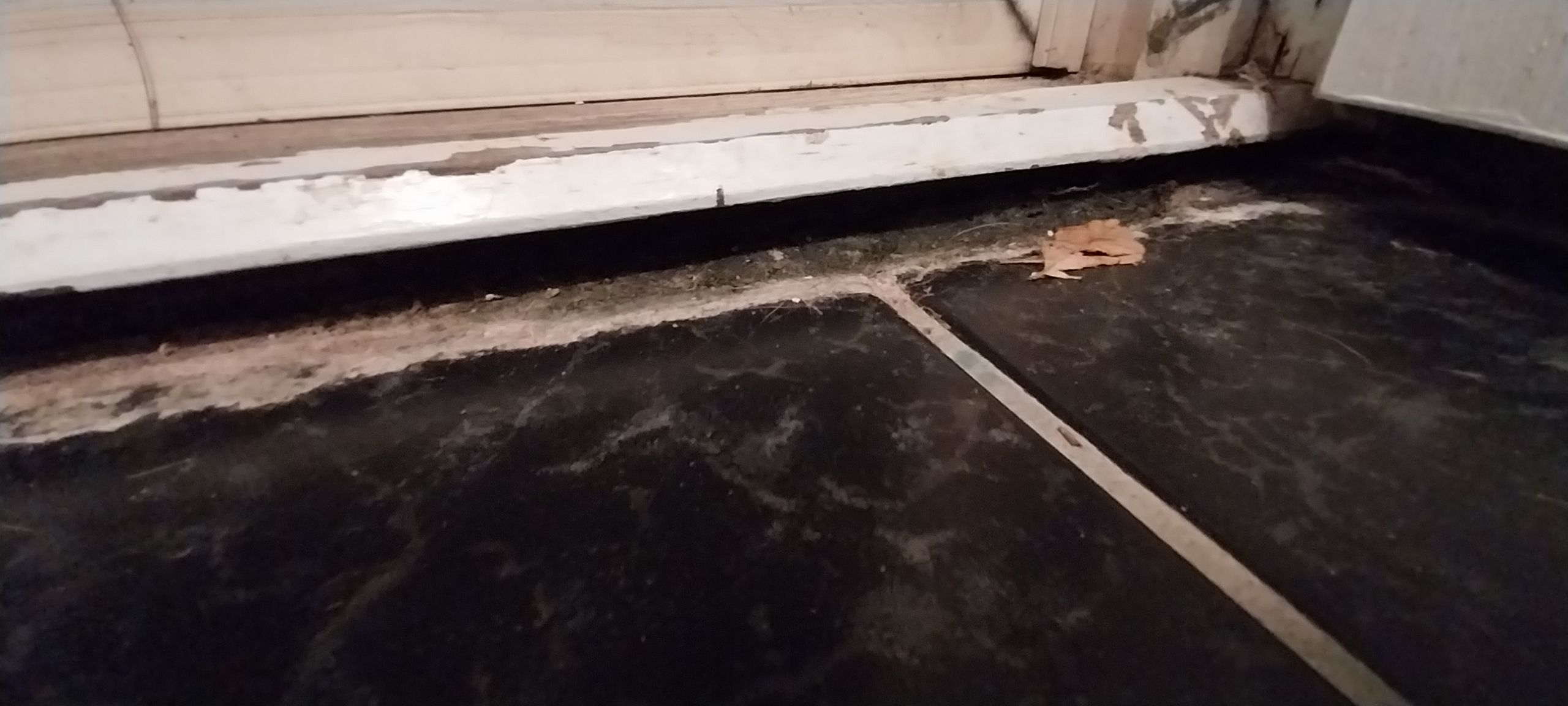 How to repair a waterdamaged door sill? Bunnings community