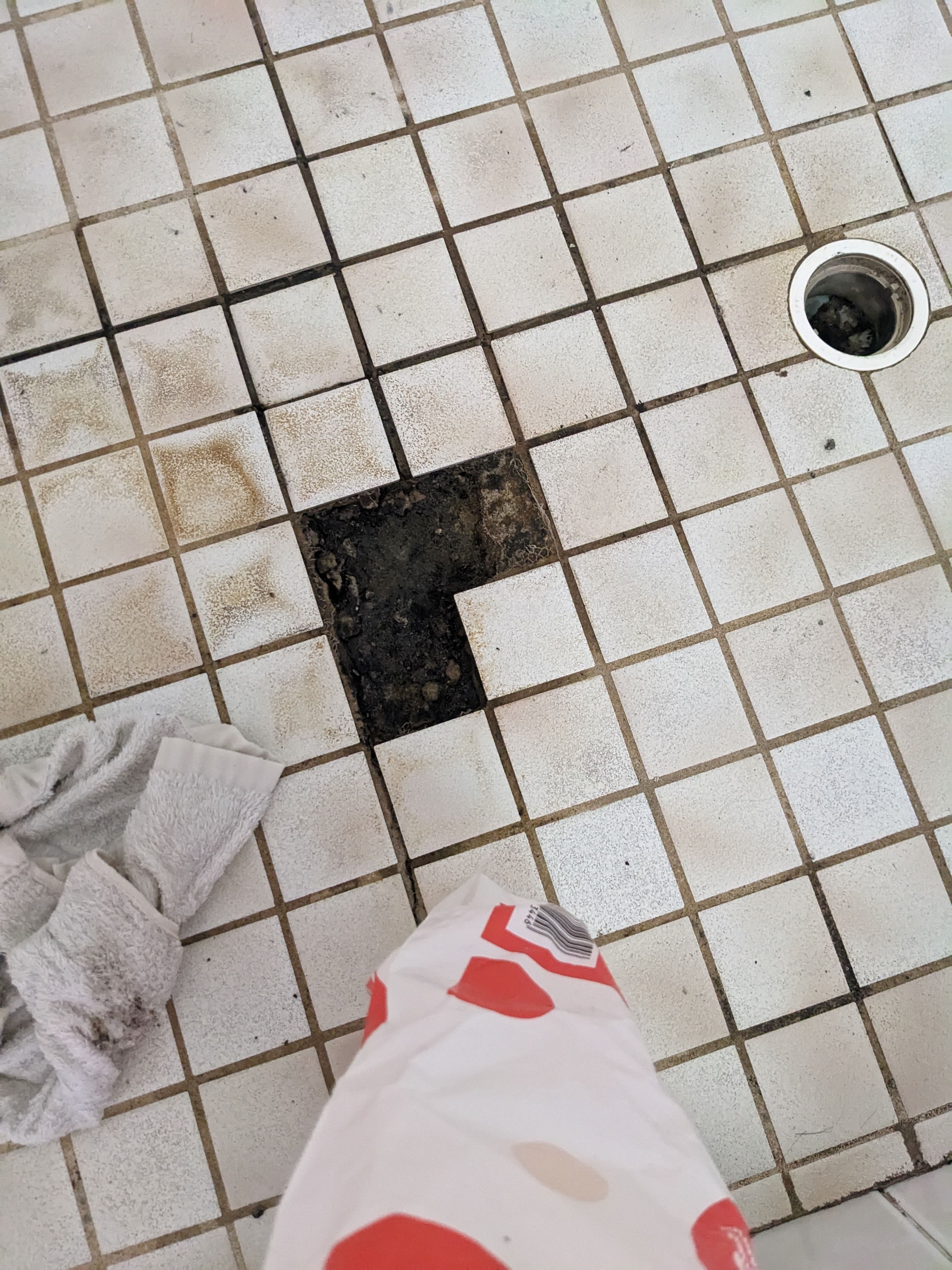 Solved How to retile kitchen, bathroom and show... Bunnings