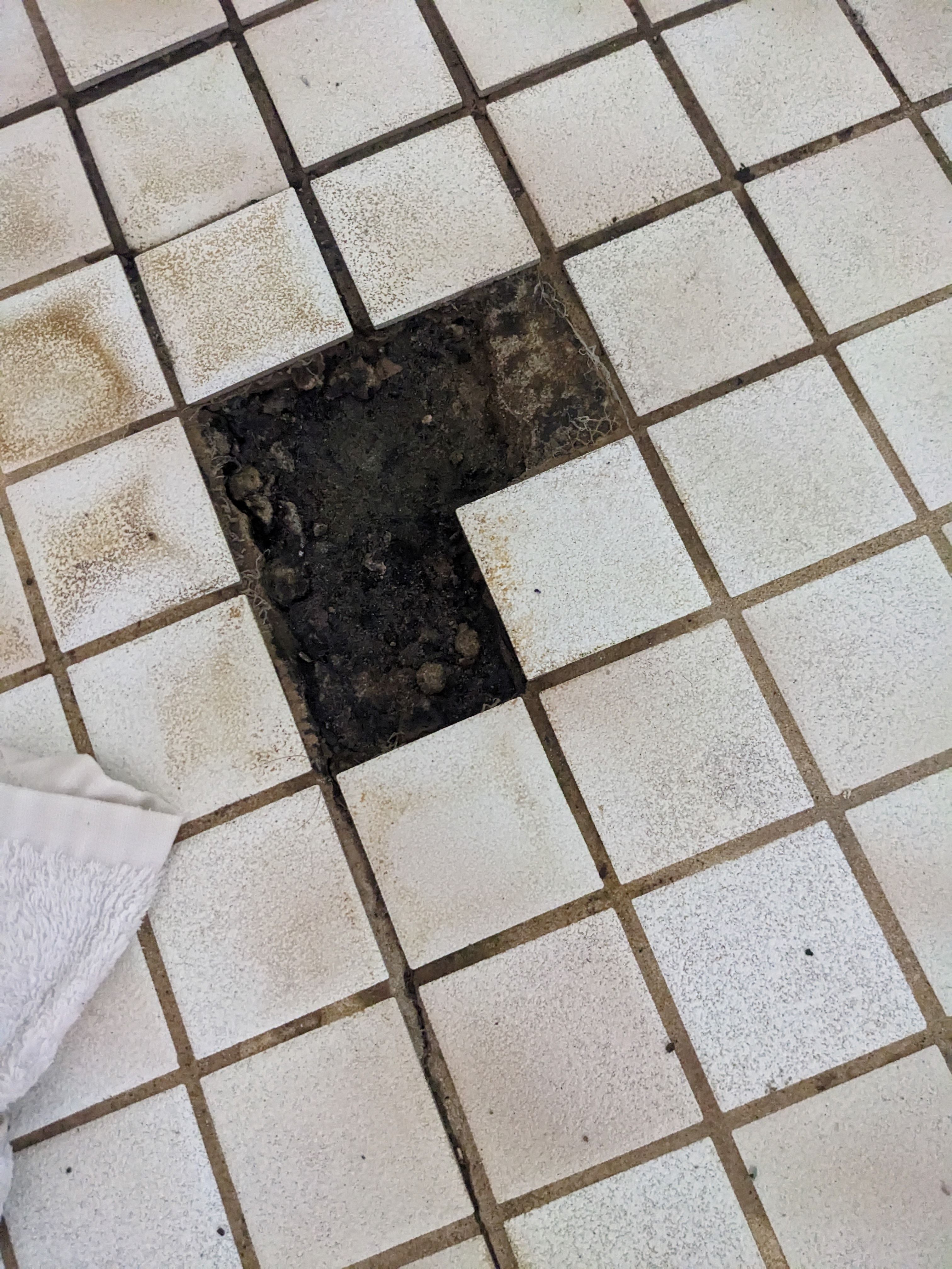 Solved How to retile kitchen, bathroom and show... Bunnings