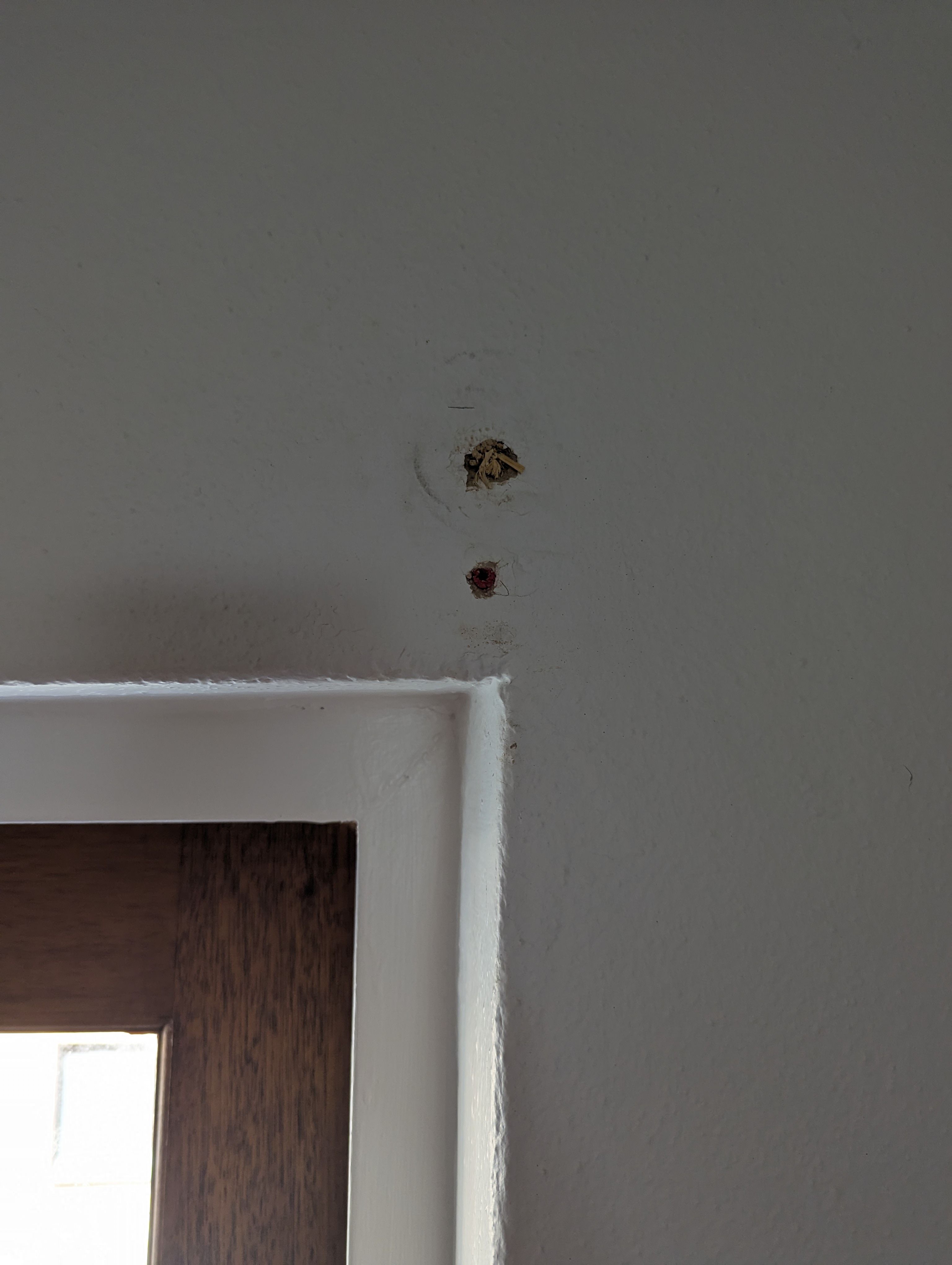 How to repair a hole in the wall? Bunnings community