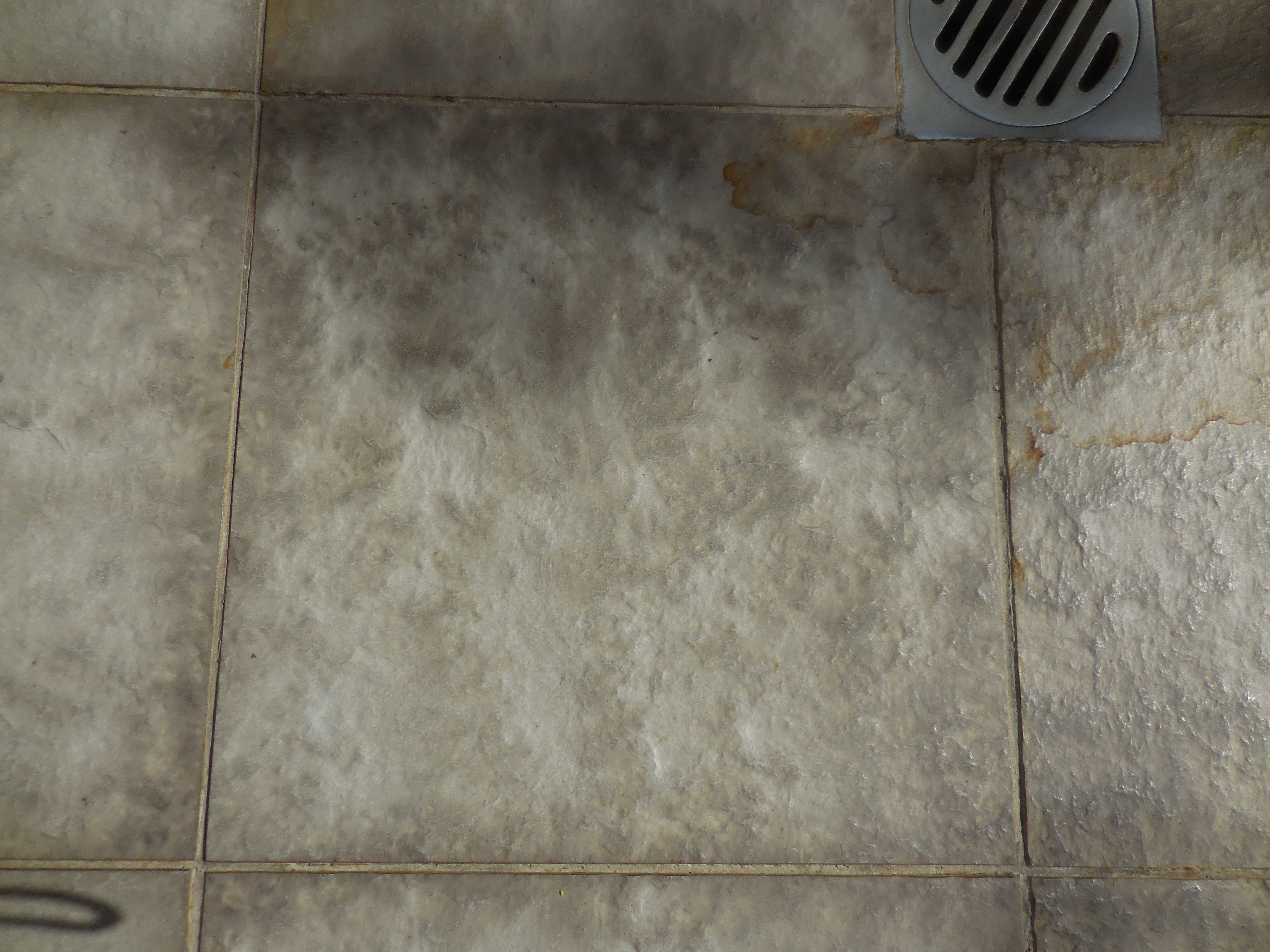 Can I paint over my balcony tiles? Bunnings community