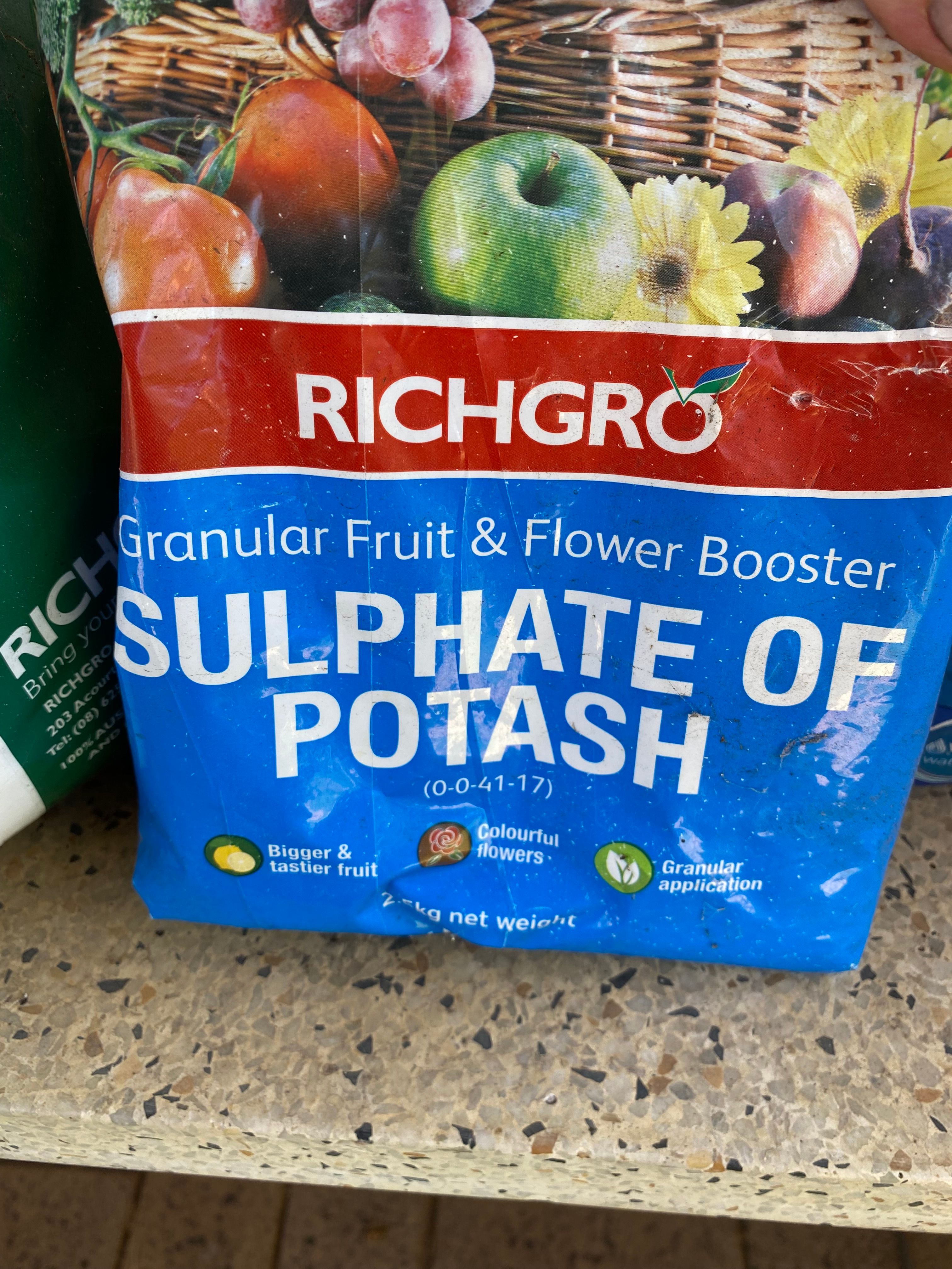 Solved How to prevent flower buds from falling Bunnings