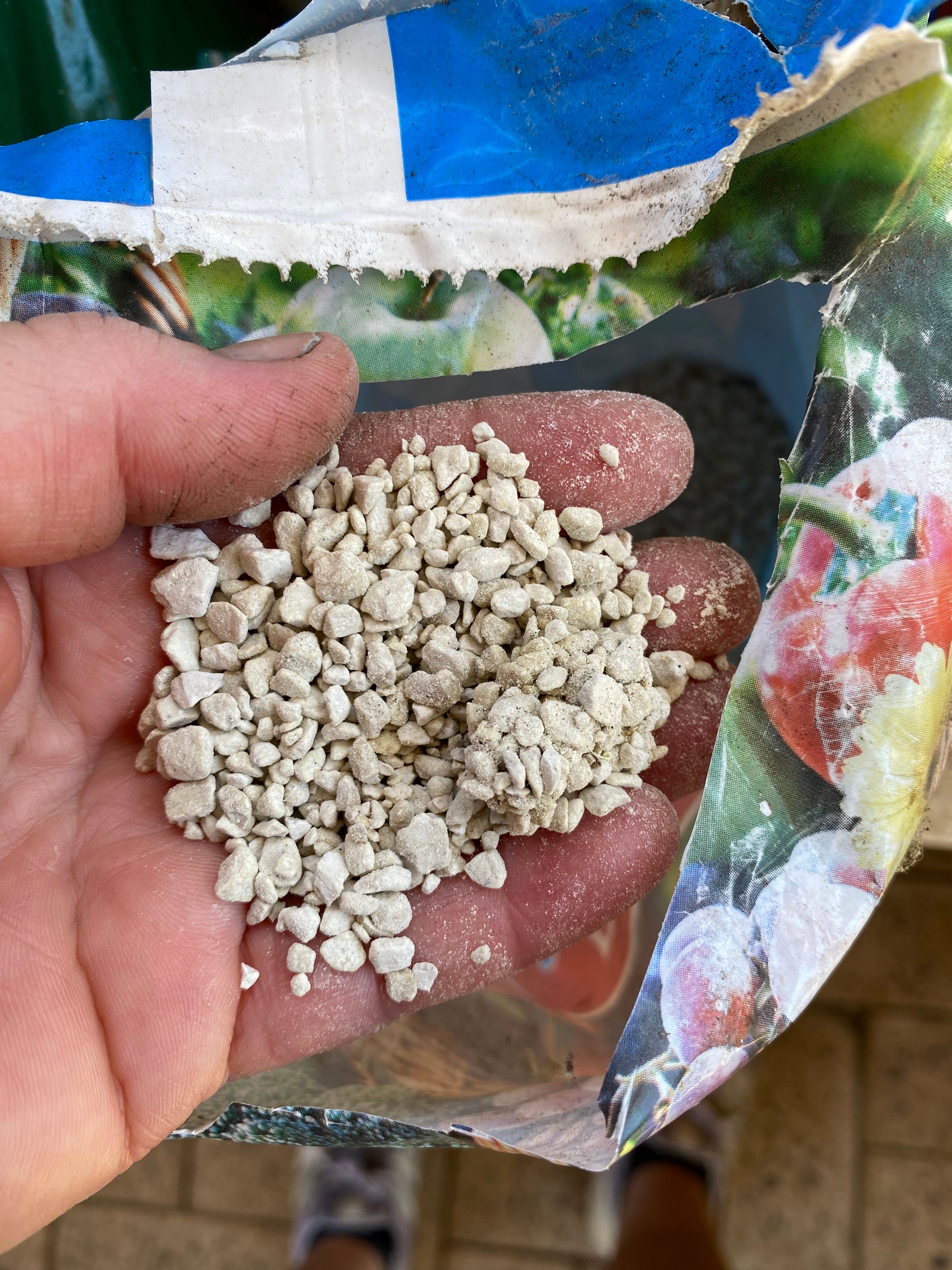 Solved How to prevent flower buds from falling Bunnings