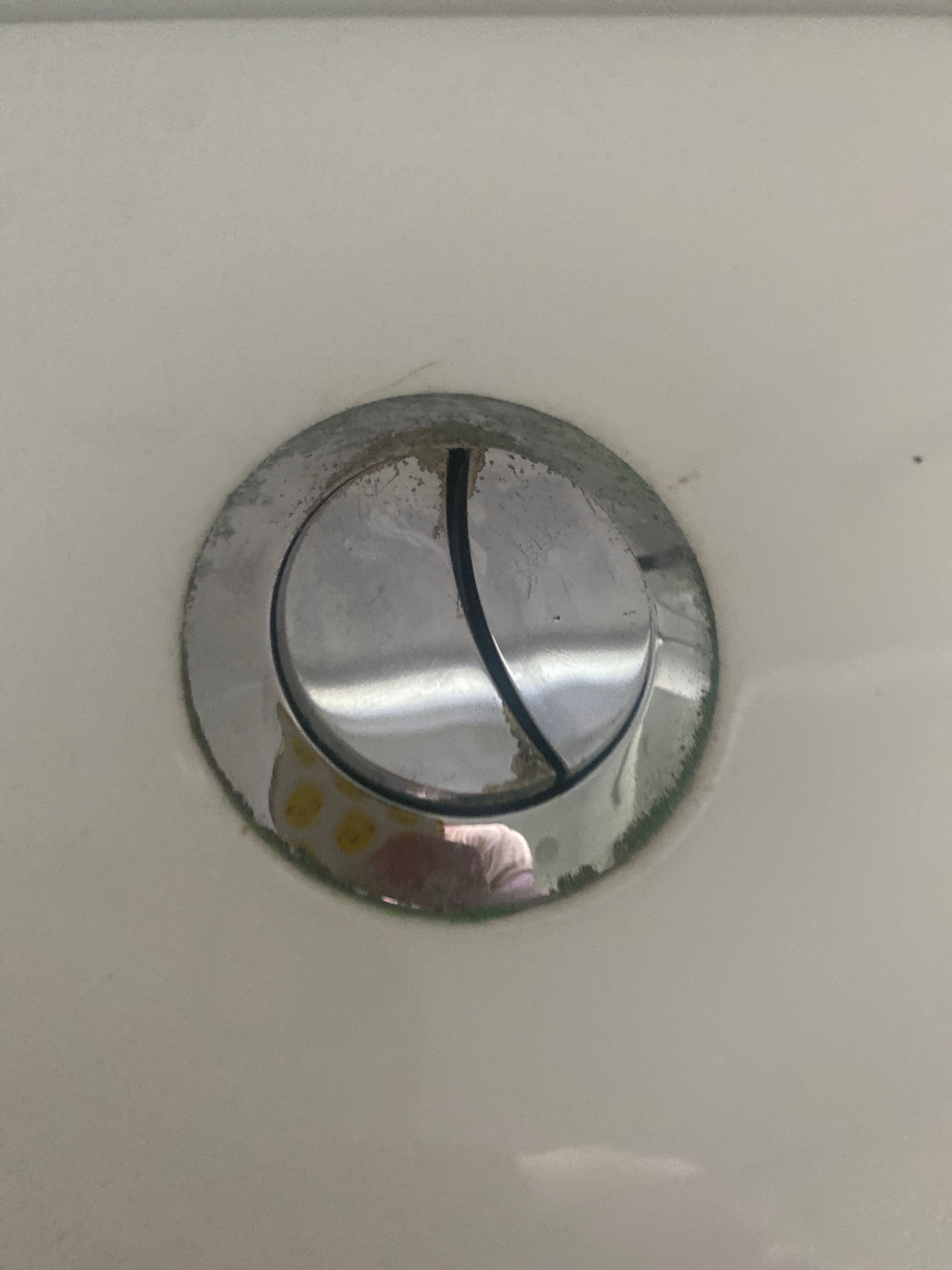 How to replace toilet flush? Bunnings community