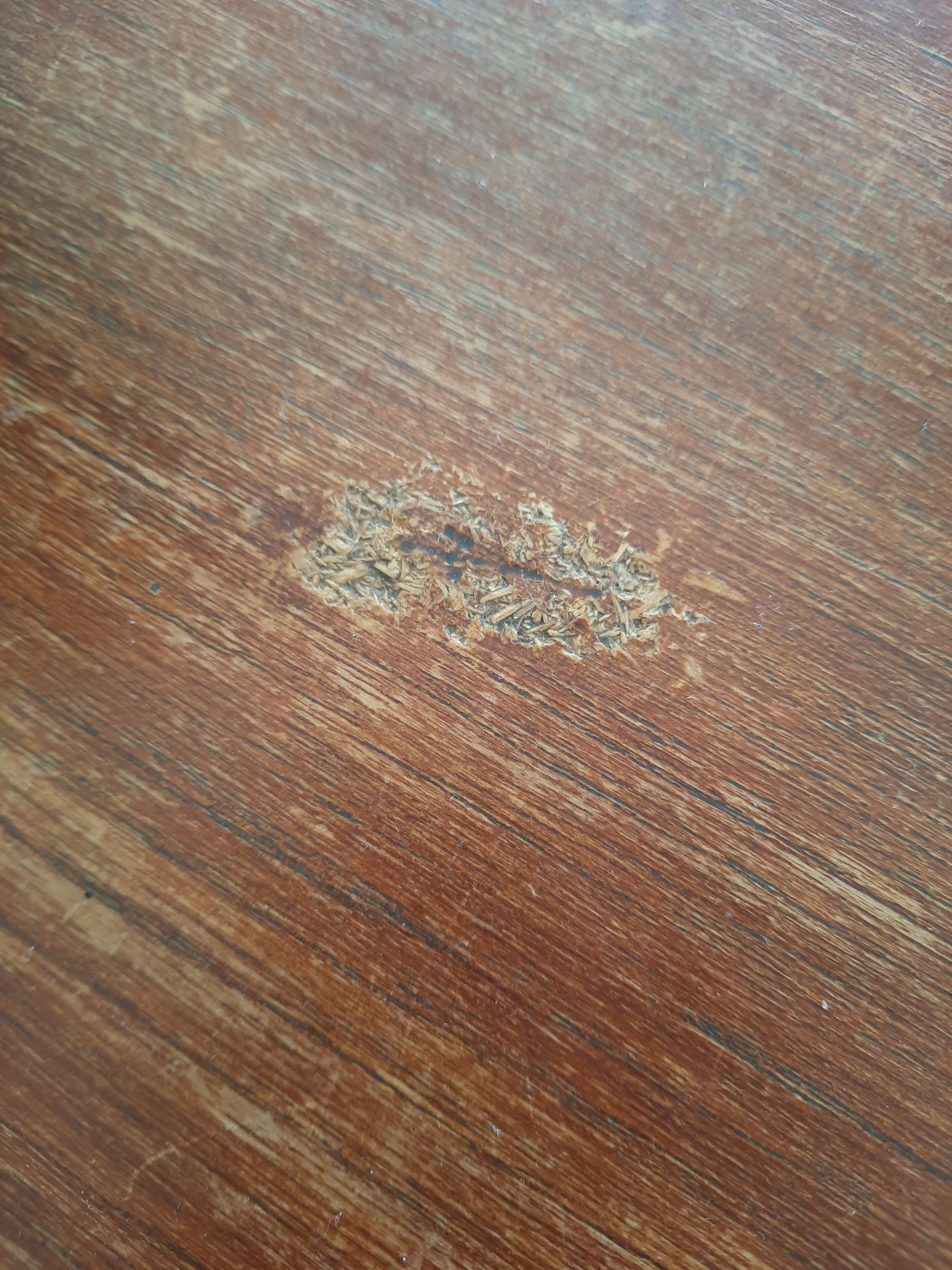 How to restore a table with a veneer top... Bunnings community