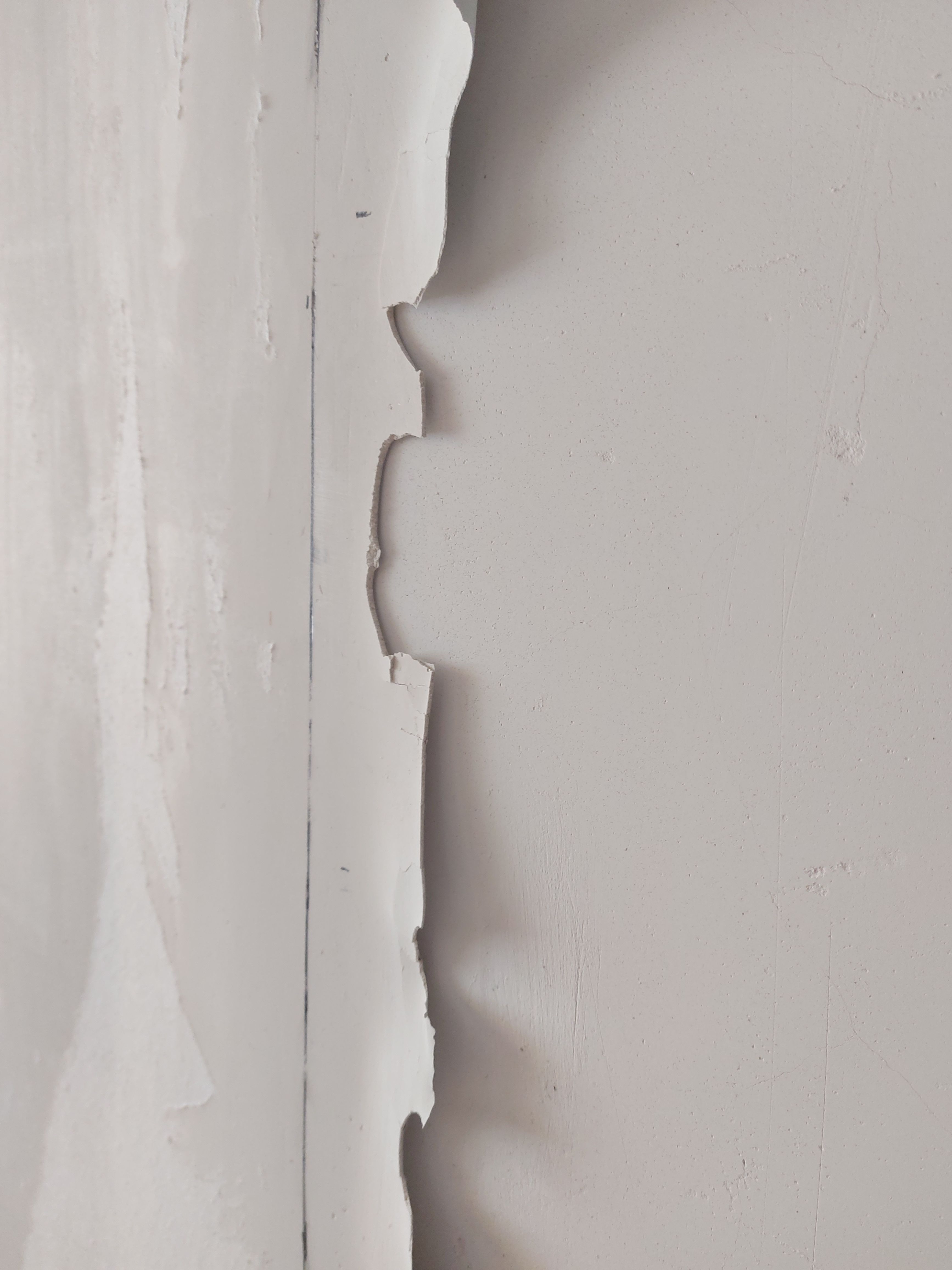 How do I repair peeling plasterboard wal... Bunnings community