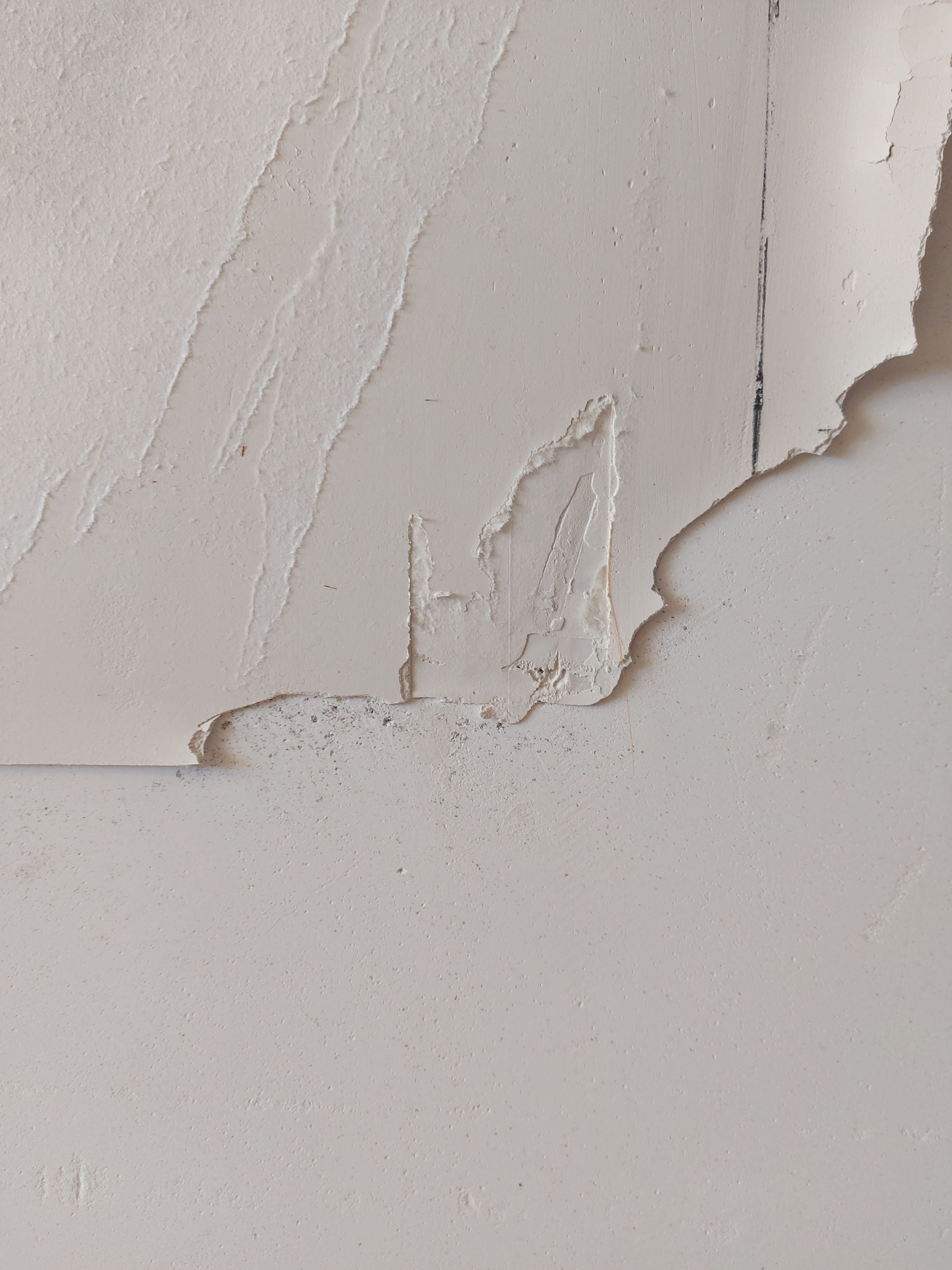How do I repair peeling plasterboard wal... Bunnings community