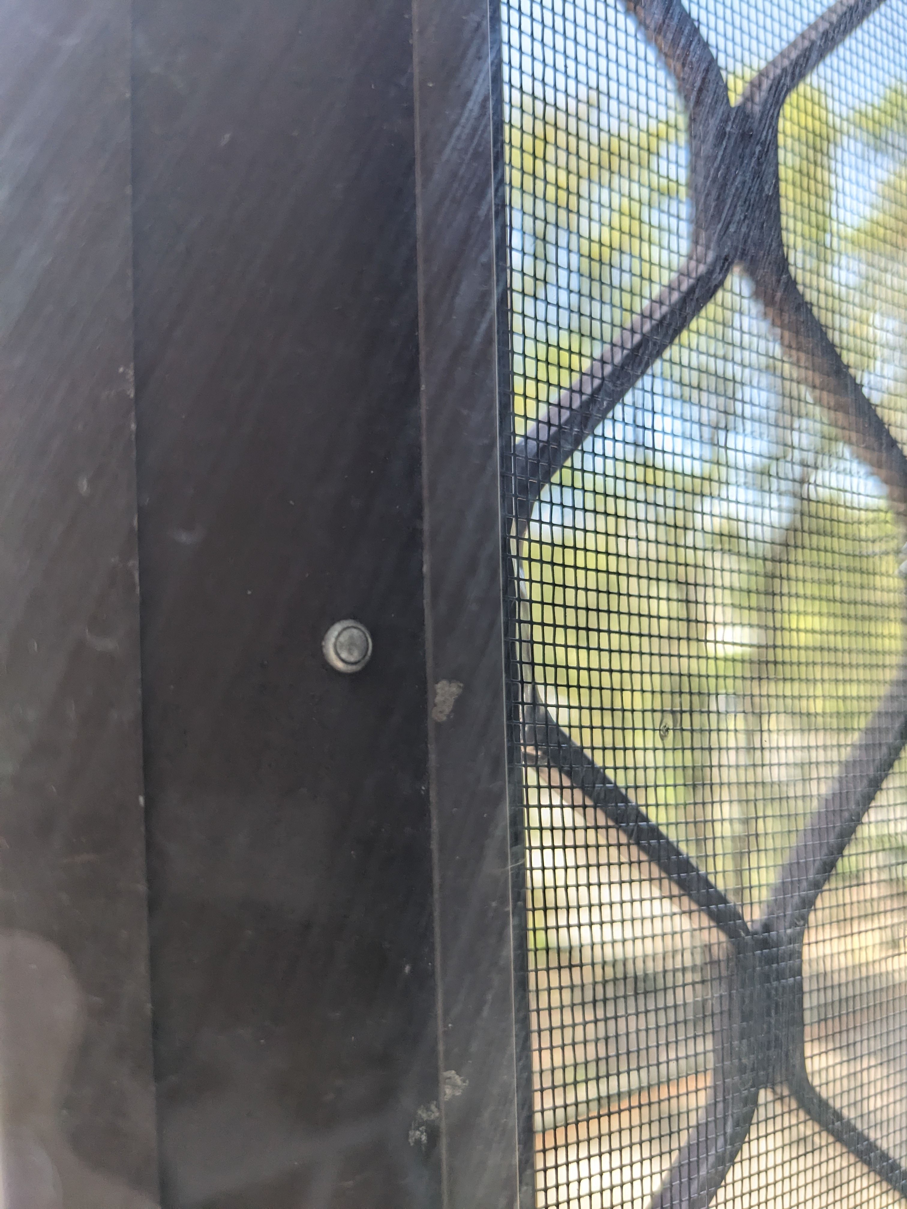 How to remove diamond security screens? Bunnings community