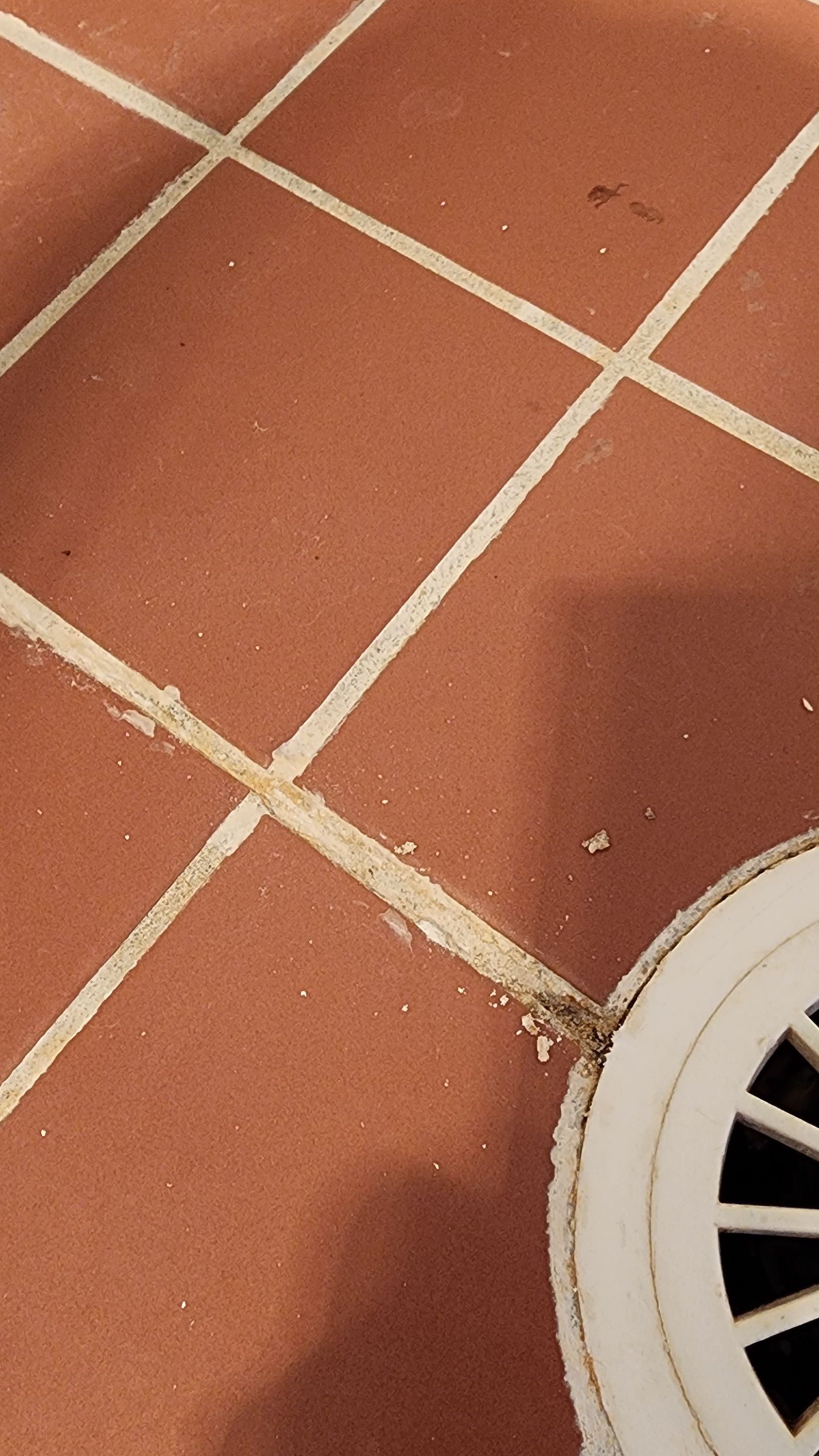 How to repair shower grout? Page 2 Bunnings community