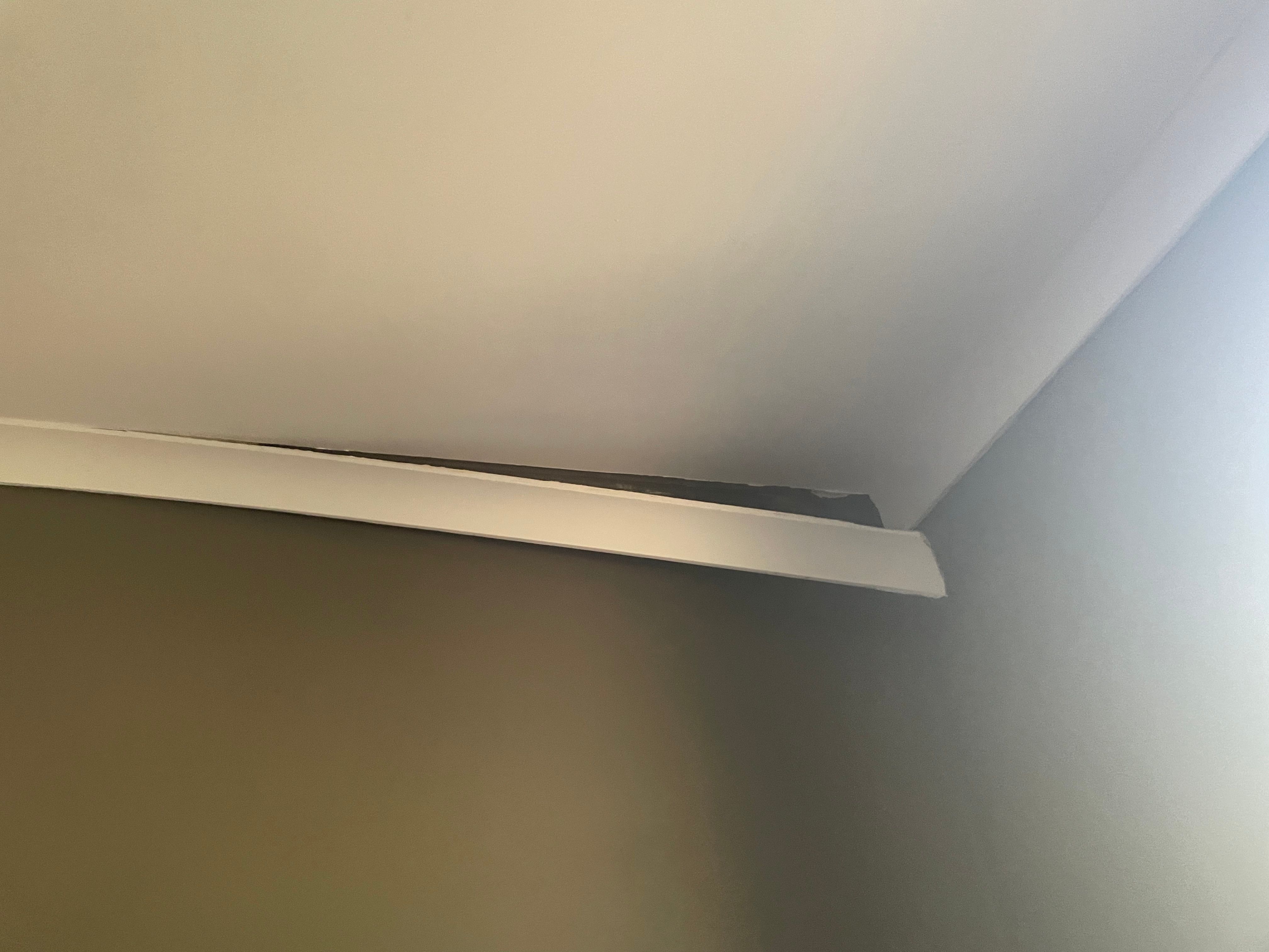 Solved How to fix damaged cornice? Bunnings community