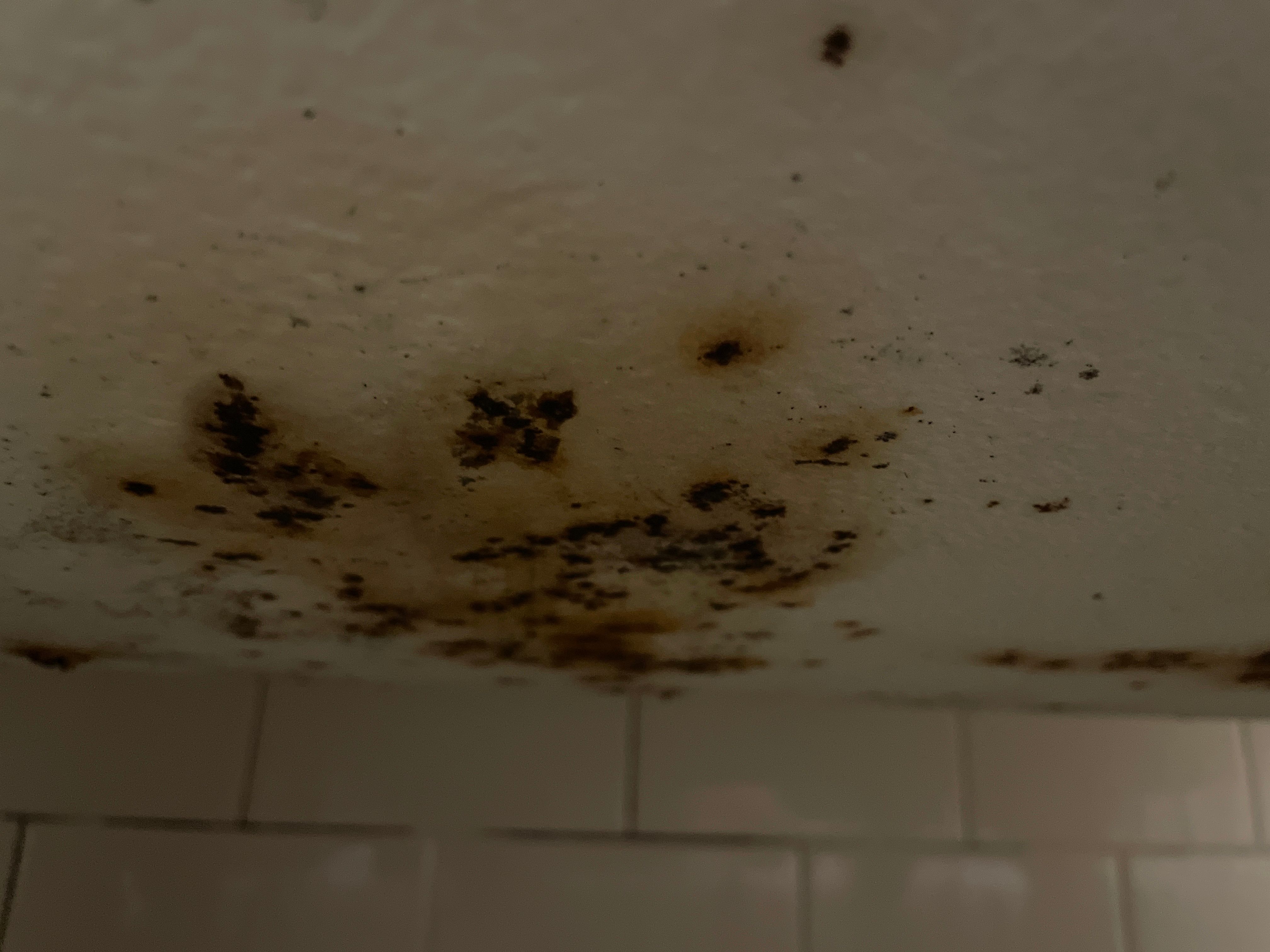 How to refurbish old cast iron bath? Bunnings community