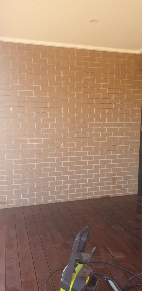 Our plain, boring brick wall. BEFORE