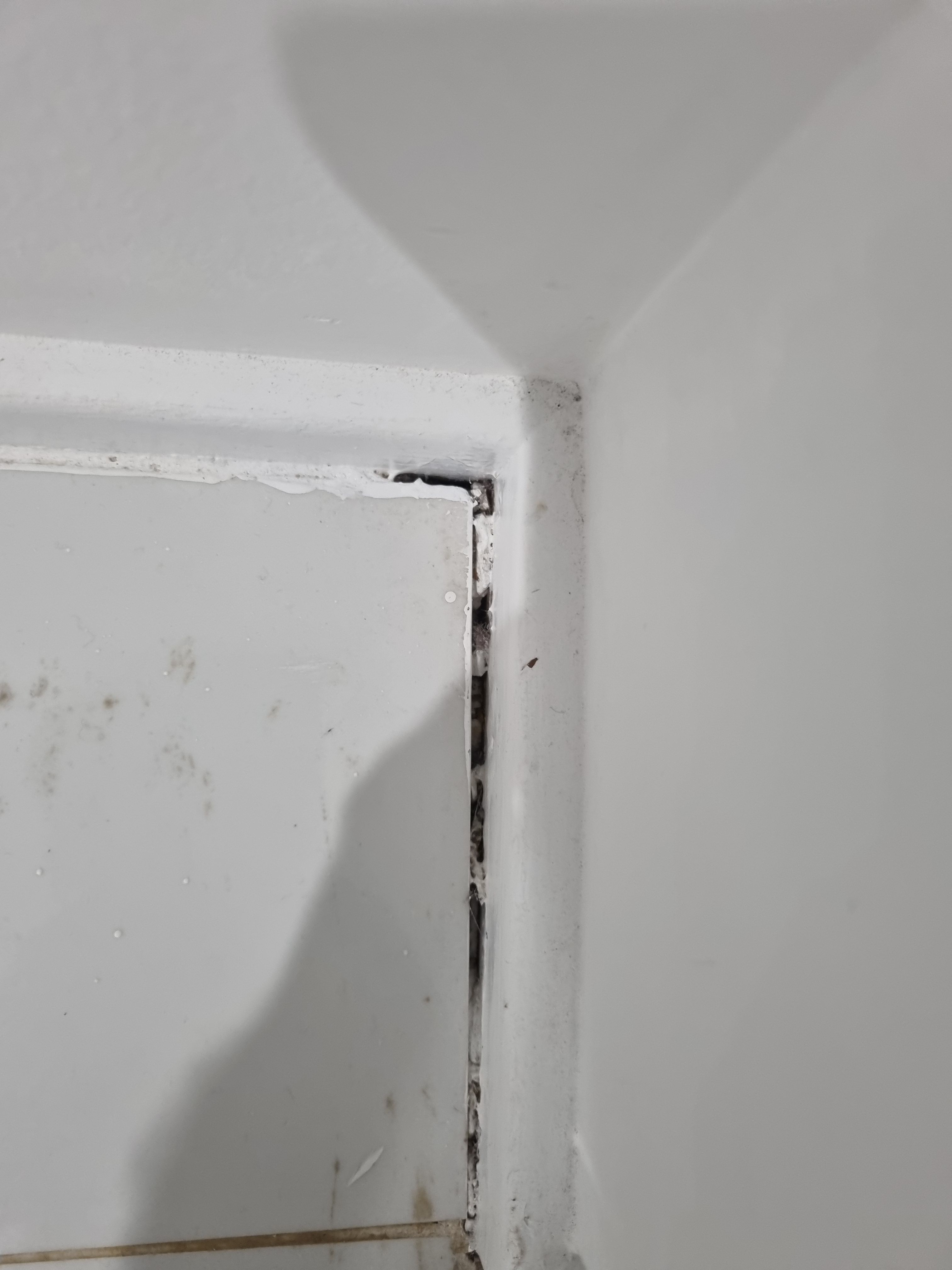 How to fill gap between tiles and corner... Bunnings community