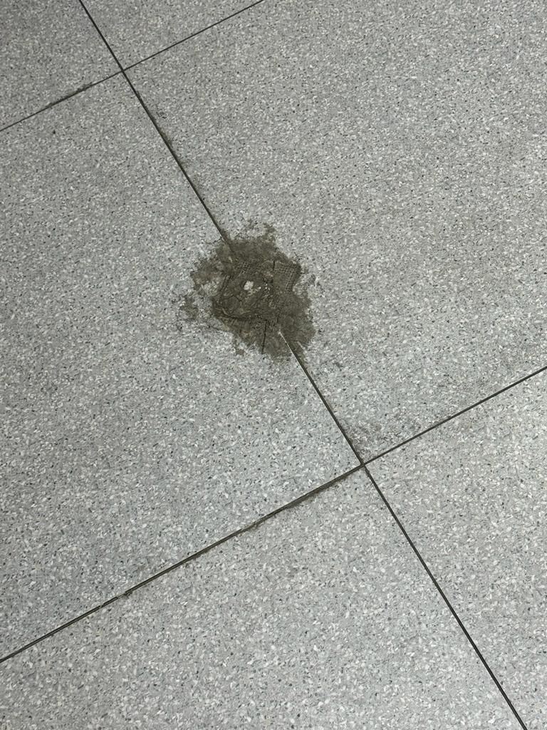 How to repair the cracked tile without r... Bunnings community