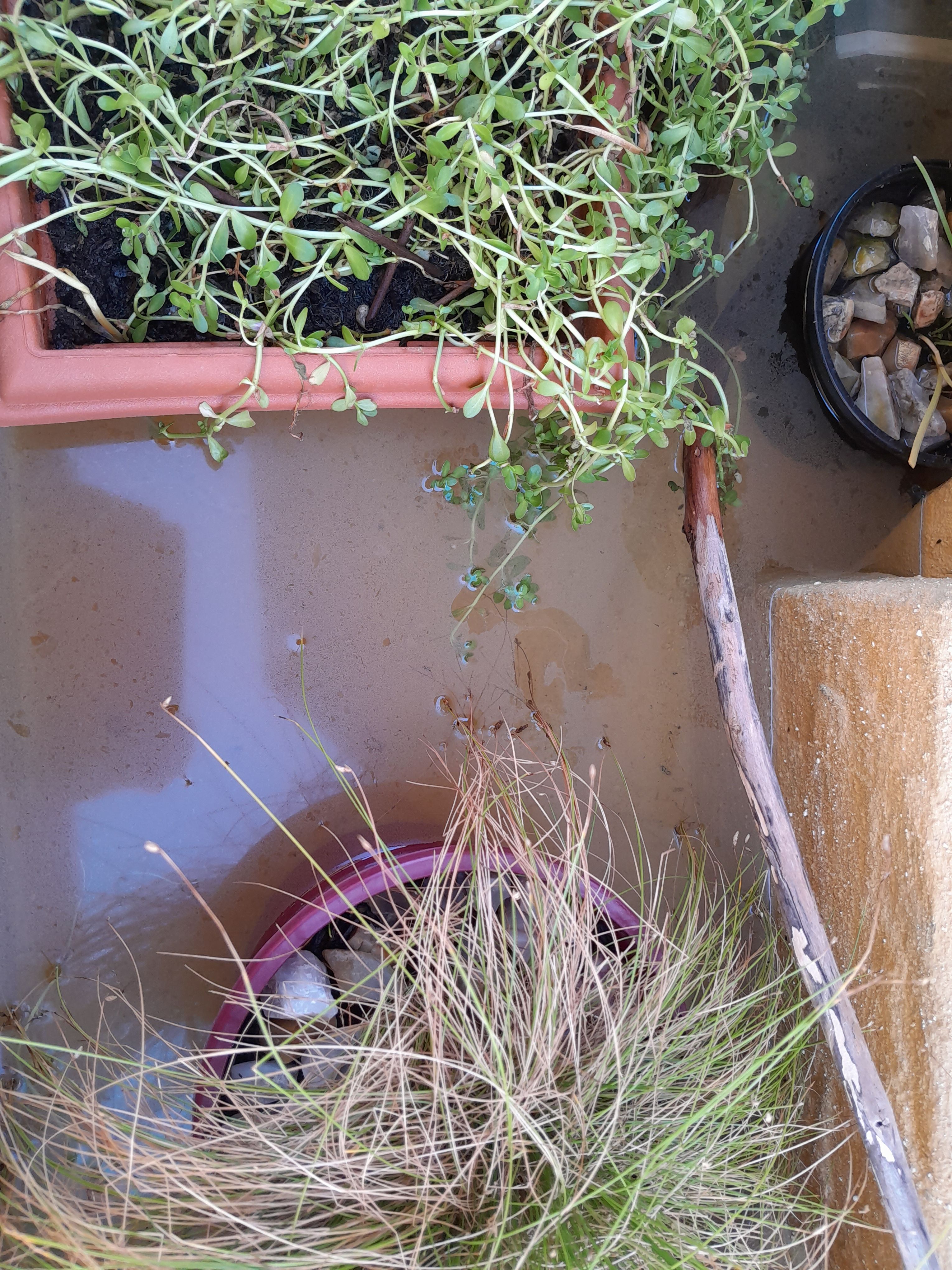 How to waterproof water feature? Bunnings community