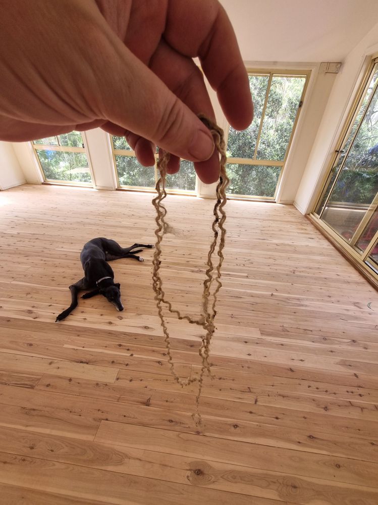 Found this wrapped around the drum