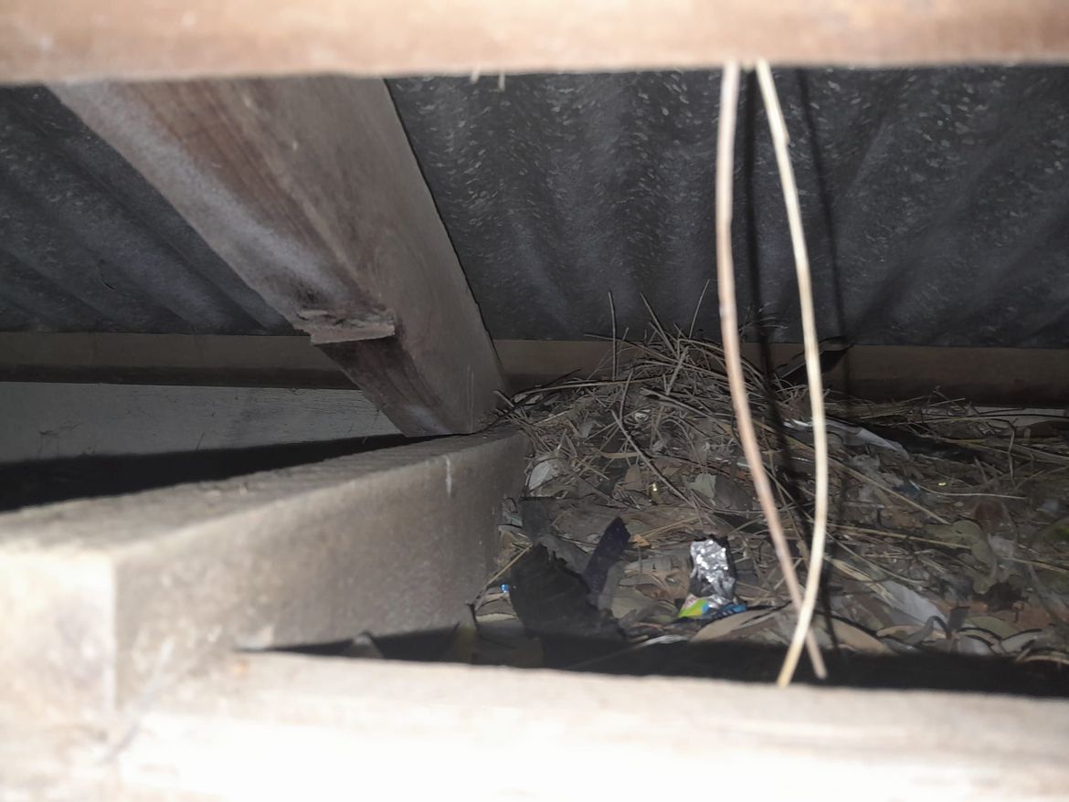 WhatsApp Image 2024-01-28 at 07.52.06_188802cf.jpg