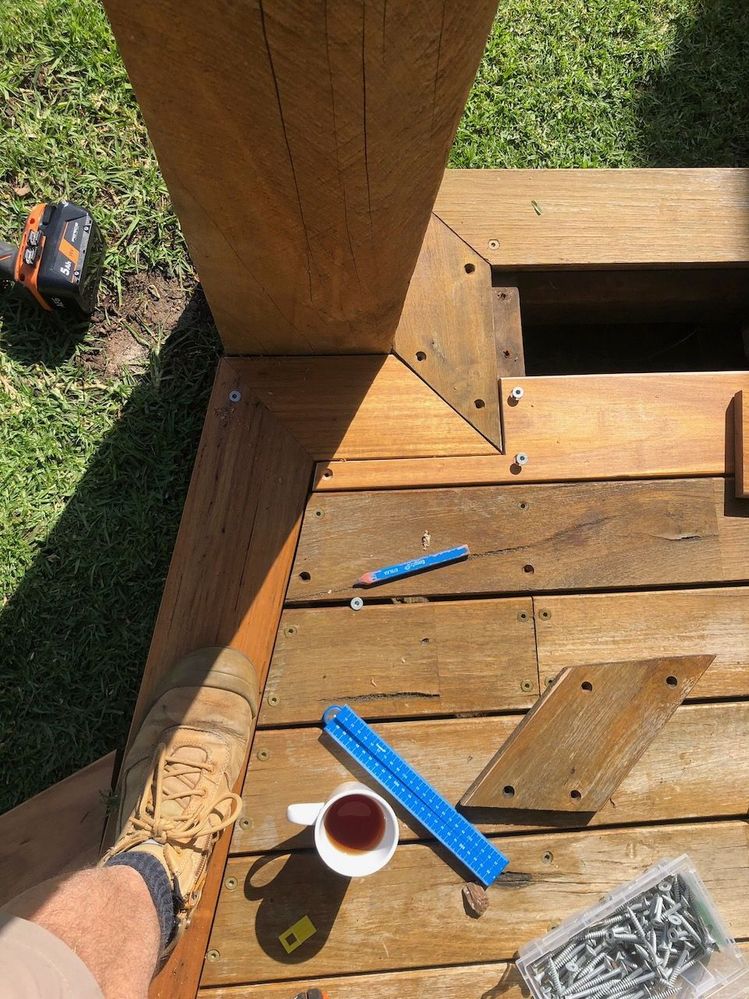 Spotted gum damage replacement