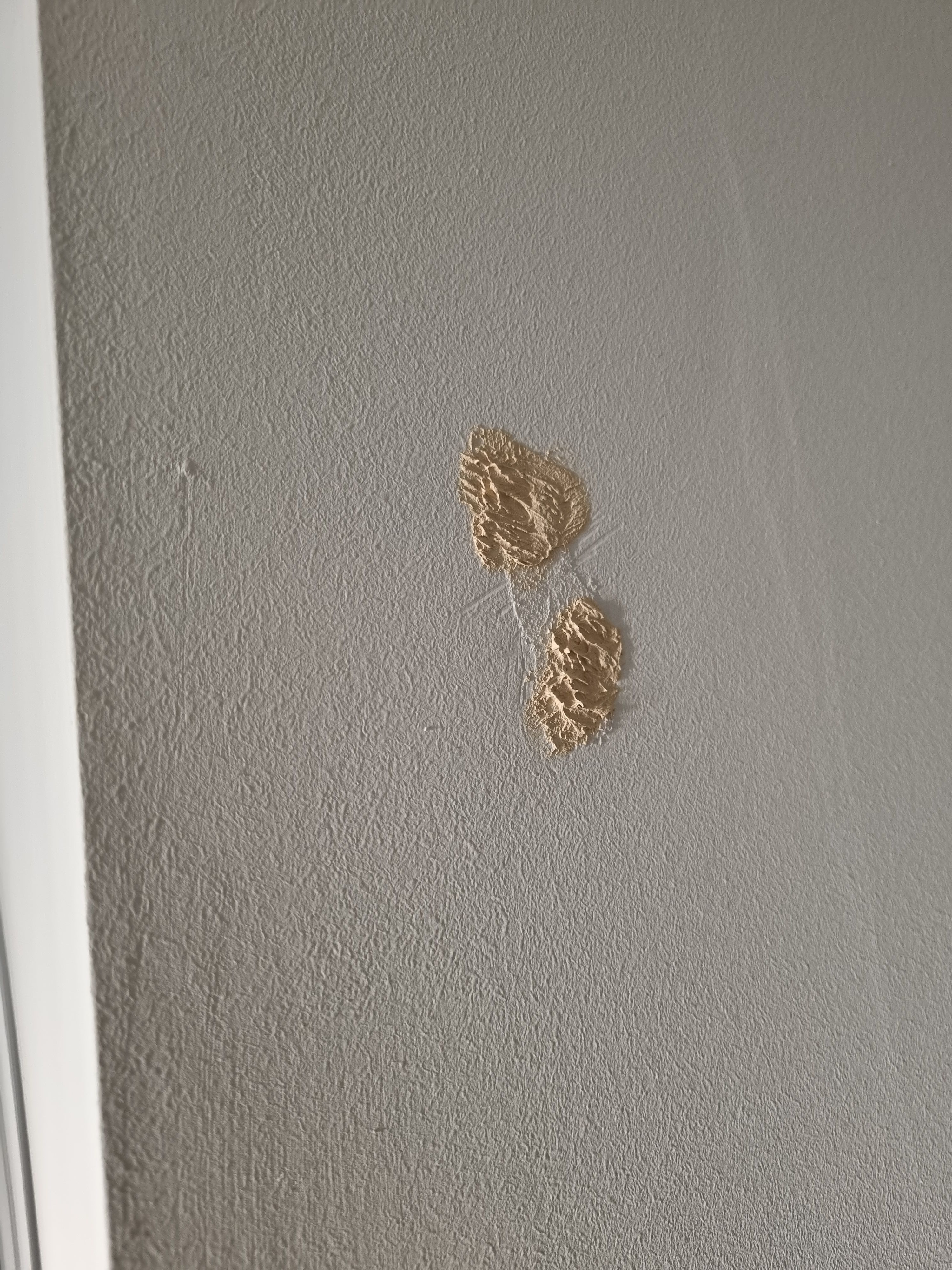 How to remove wood Polyfilla from a plas... Bunnings community