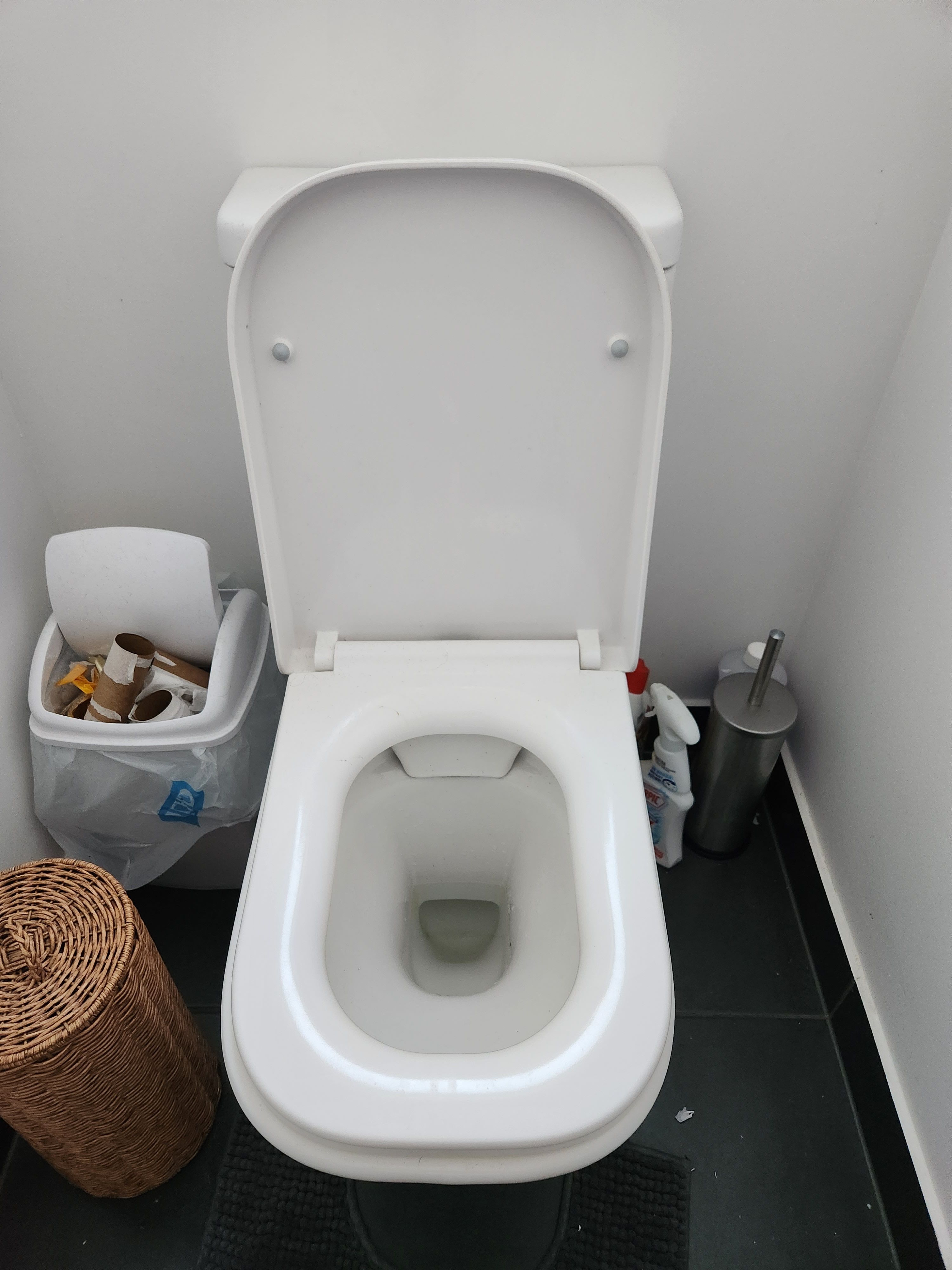 How to fix Caroma toilet seat soft closi... Bunnings community
