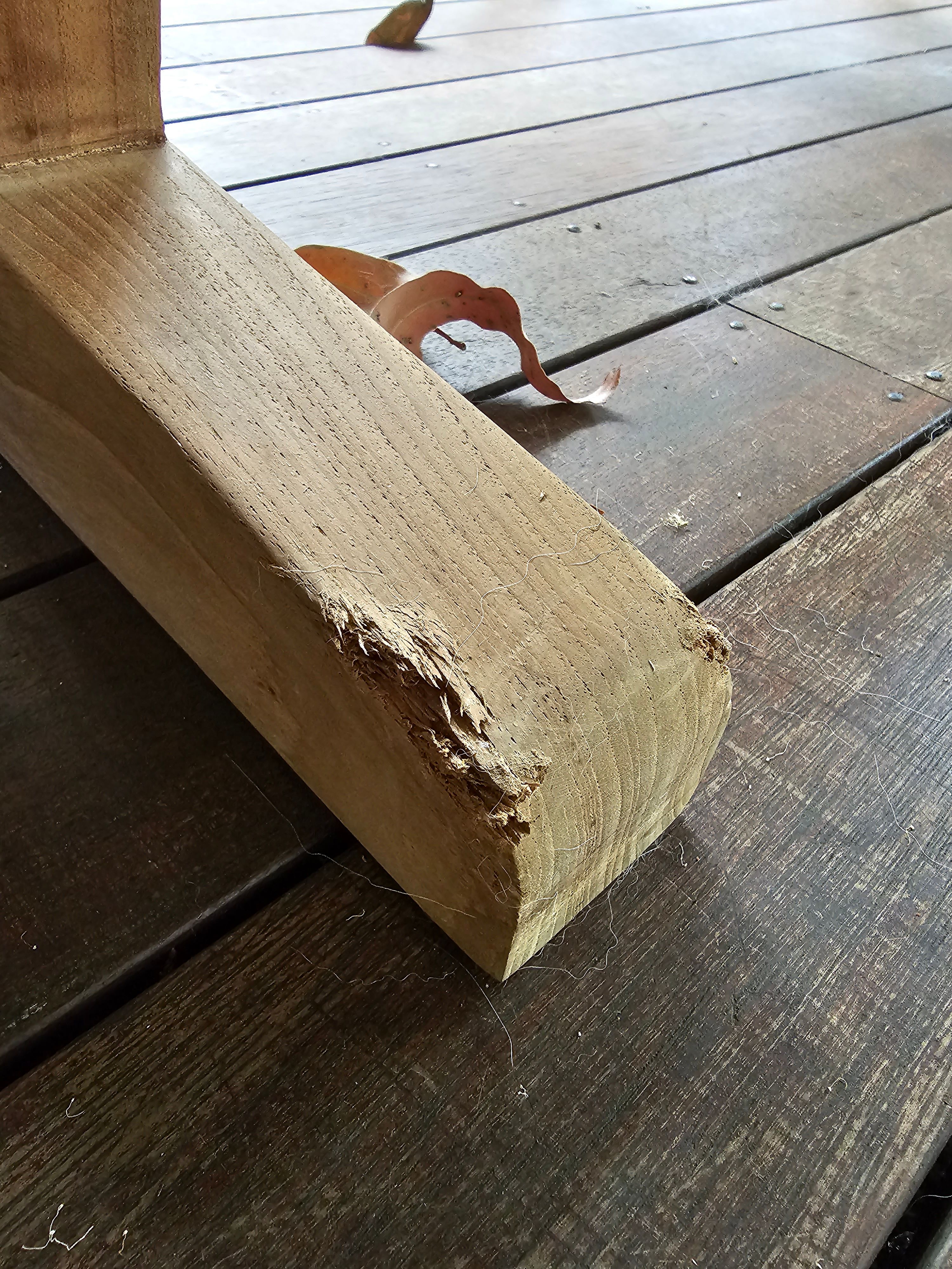 How to fix damaged Teak chair? Bunnings community