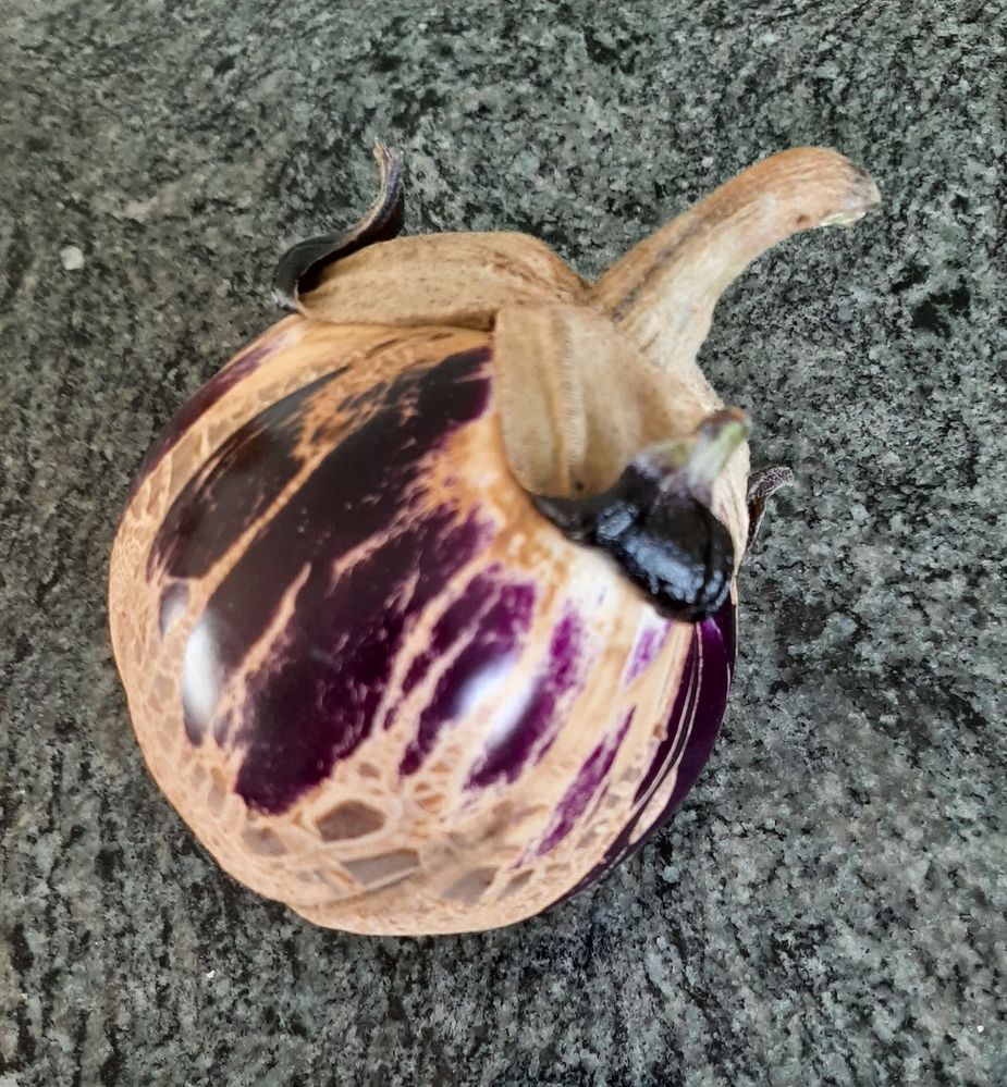 eggplant3.jpg